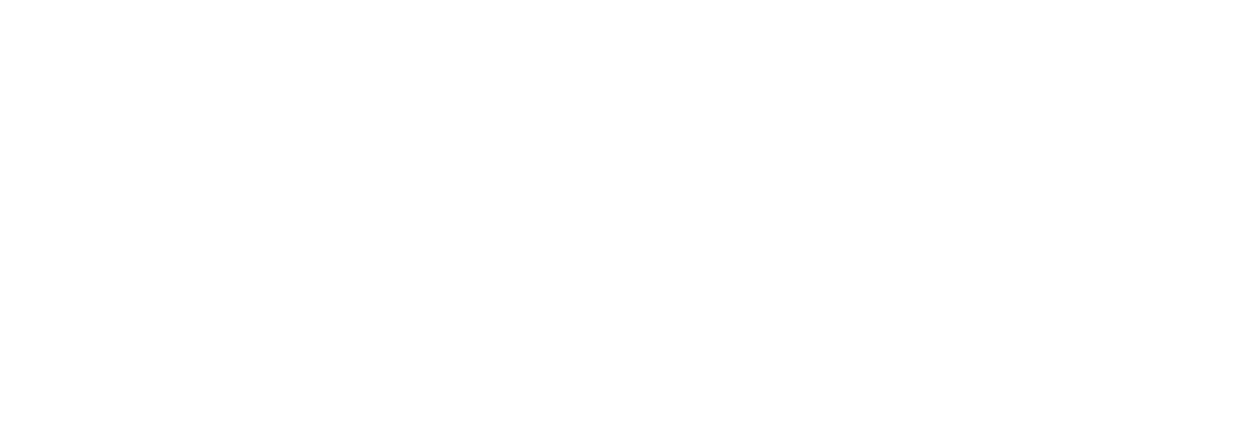 Functional Flow Therapy