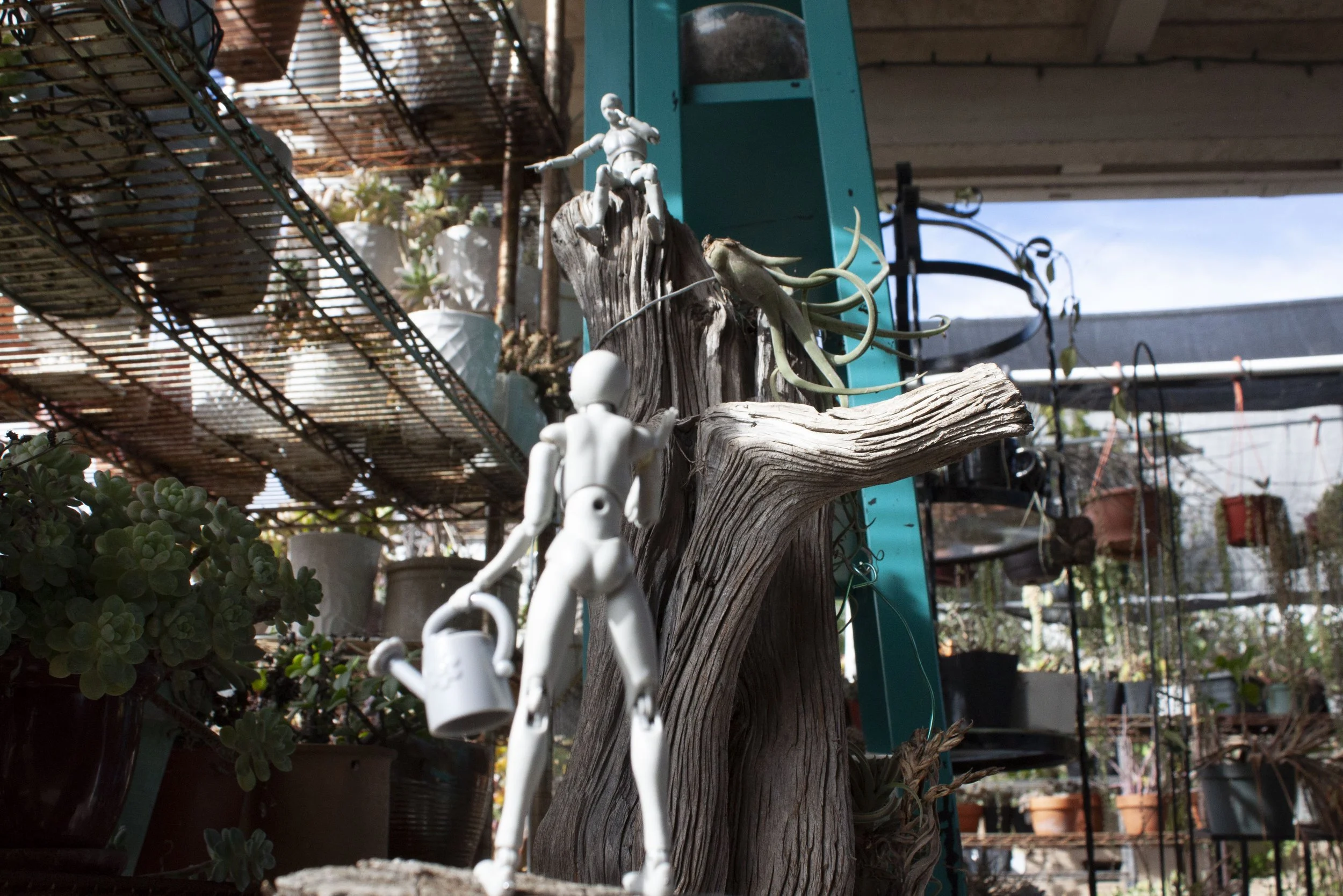 Garden Adventure P2.jpg