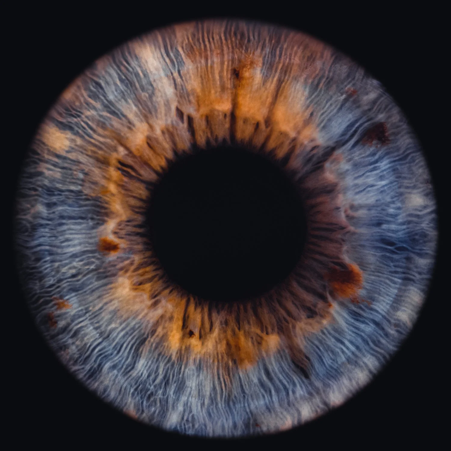 Magna Zero The Singularity