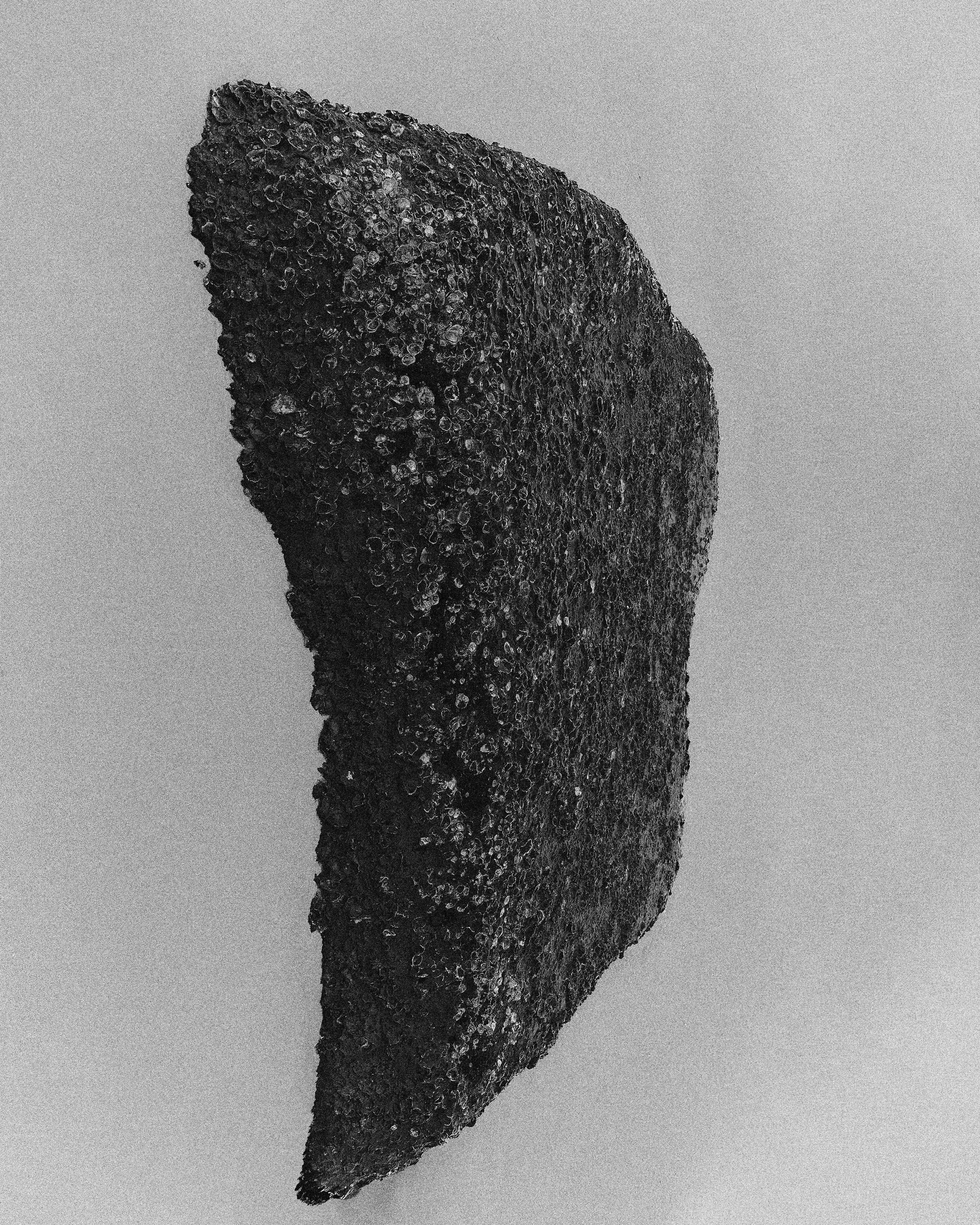 Escultura de rosto humano feita de material escuro, exibida de lado contra fundo claro.