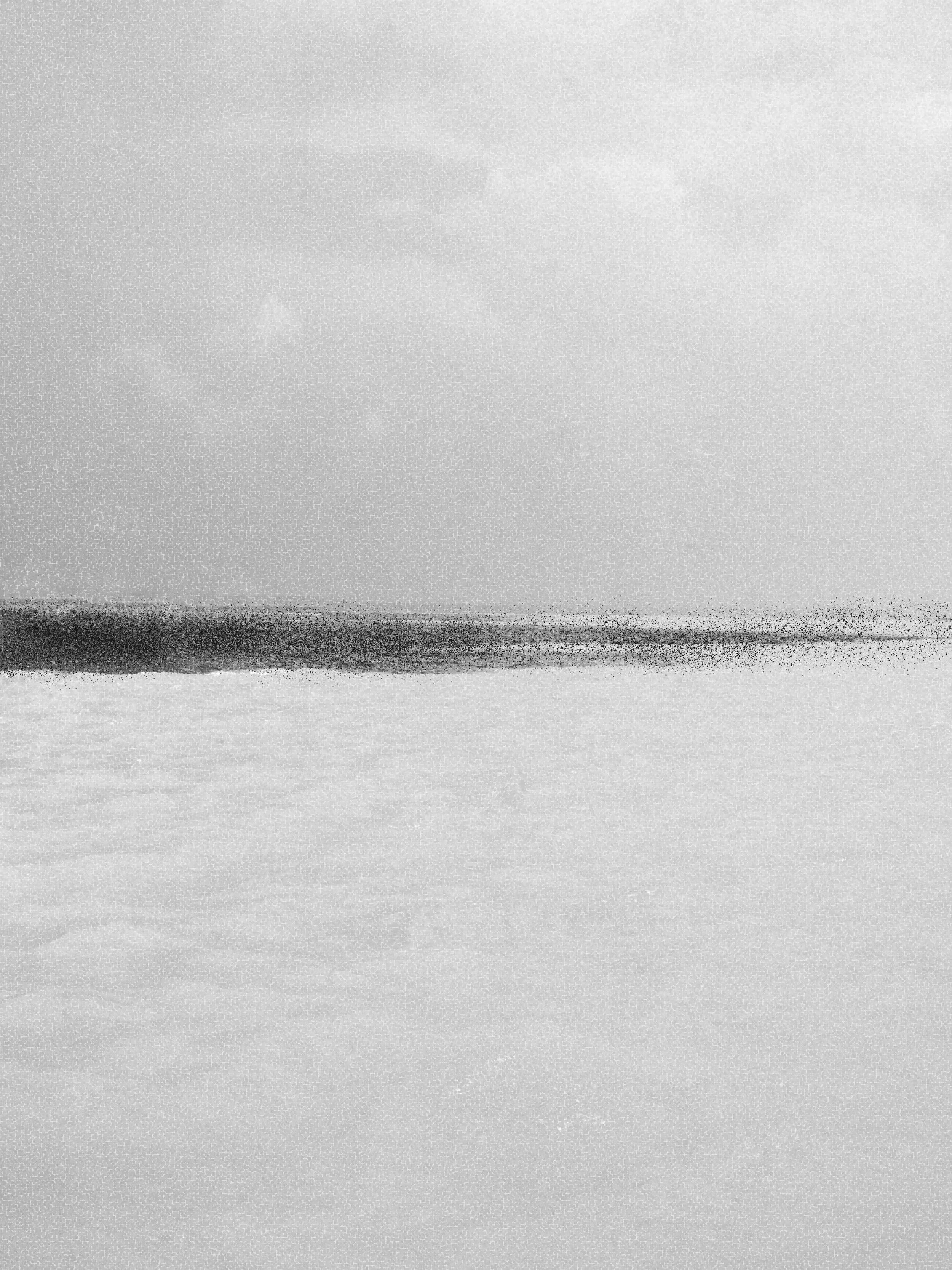 Imagem em preto e branco de um corpo de água tranquilo, com uma linha de horizonte visível sob um céu nublado