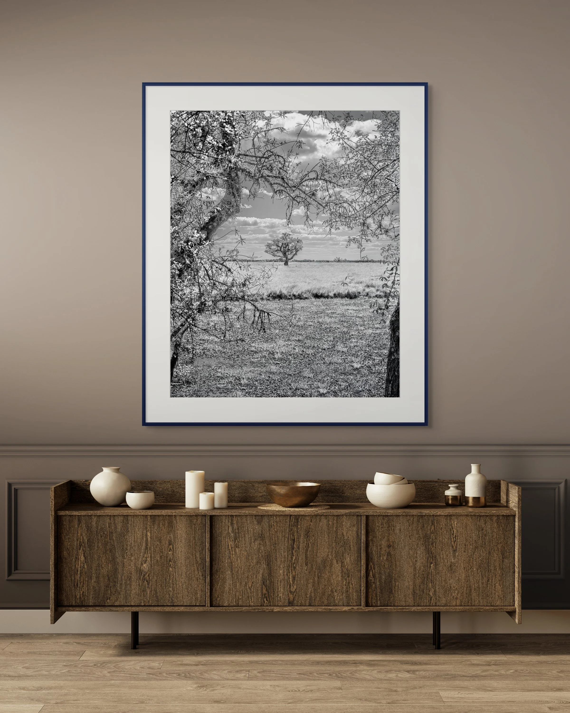 corticeira-full 2.jpg