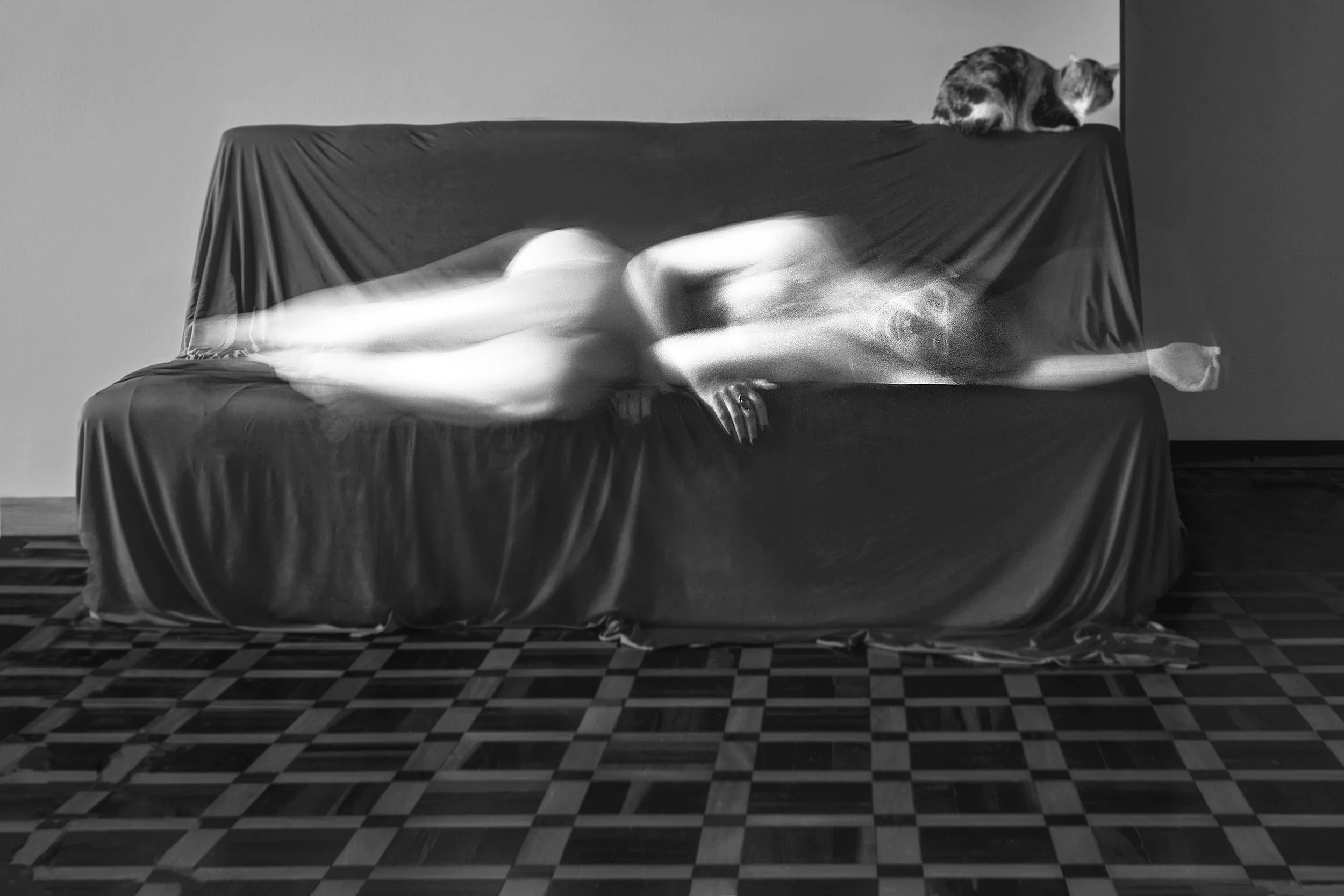 iandragato 5 copiar.jpg