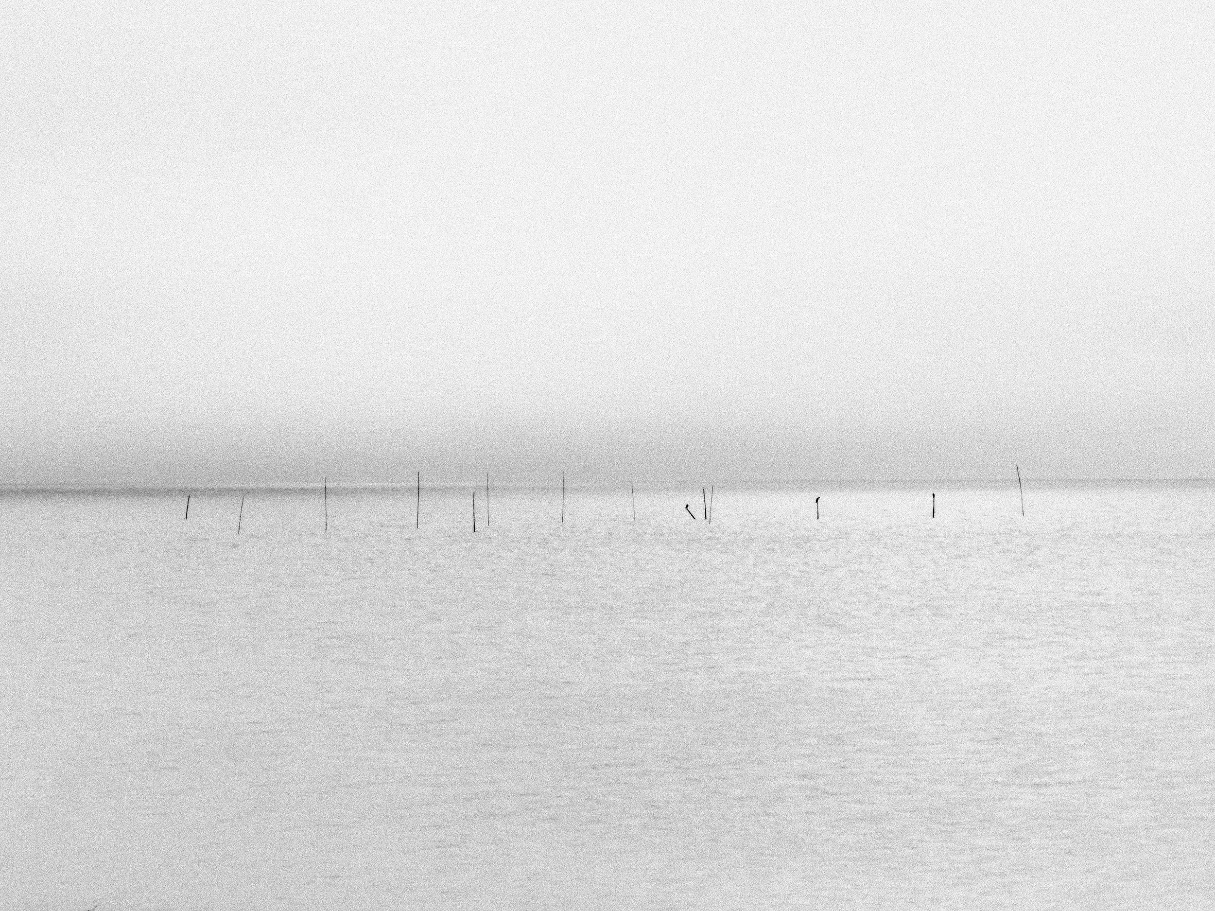 Cena em tom preto e branco de um mar calmo com posteiras de madeira mergulhadas na água e céu nublado.