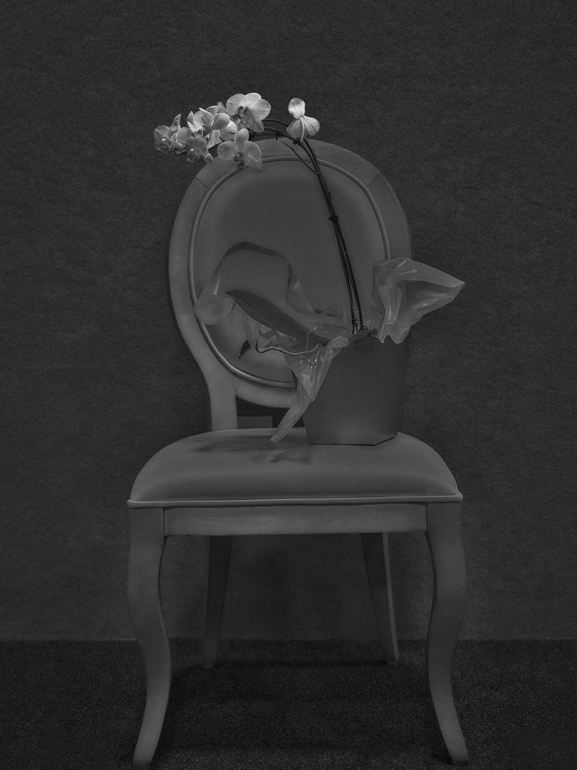 Flor de orquídea branca em vaso sobre uma cadeira de madeira com fundo cinza.