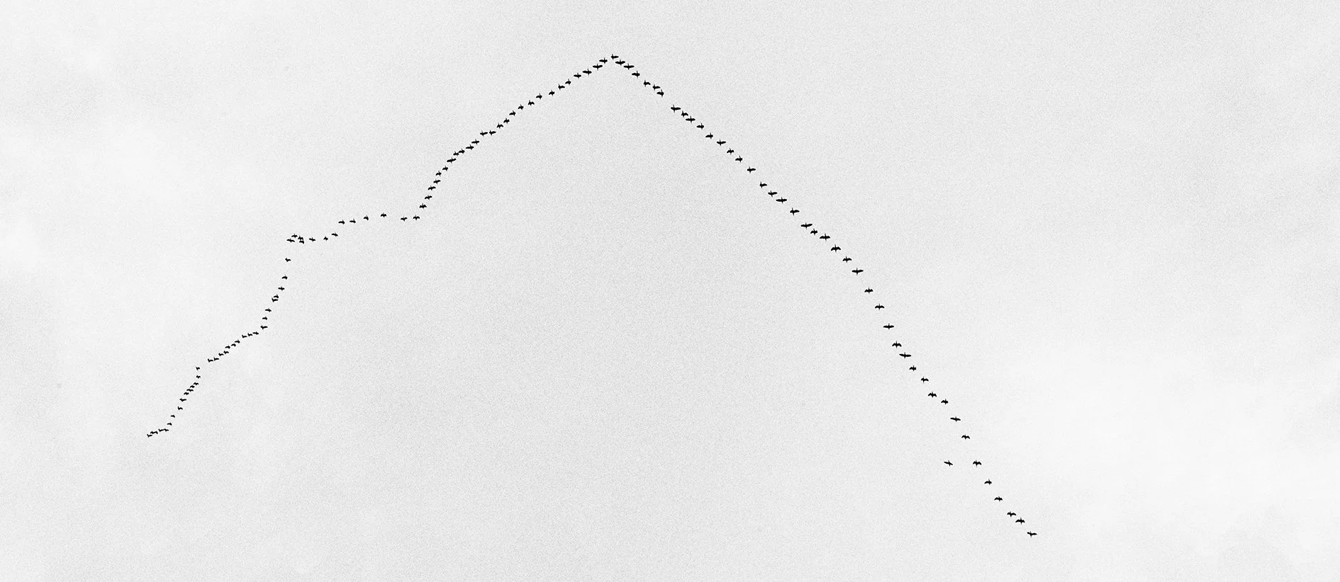 Formação de pássaros em um desenho de uma montanha no céu