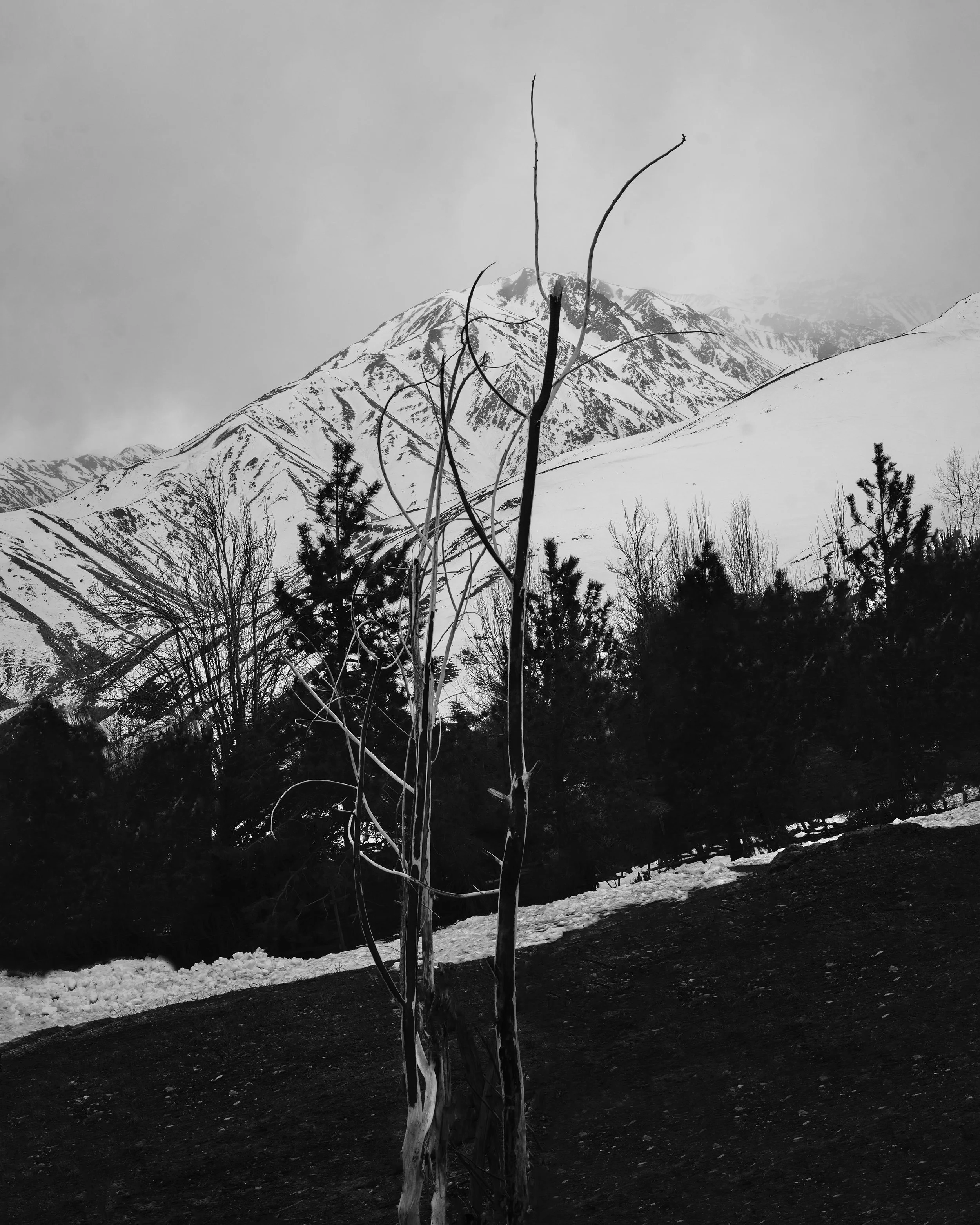 andes3.jpg