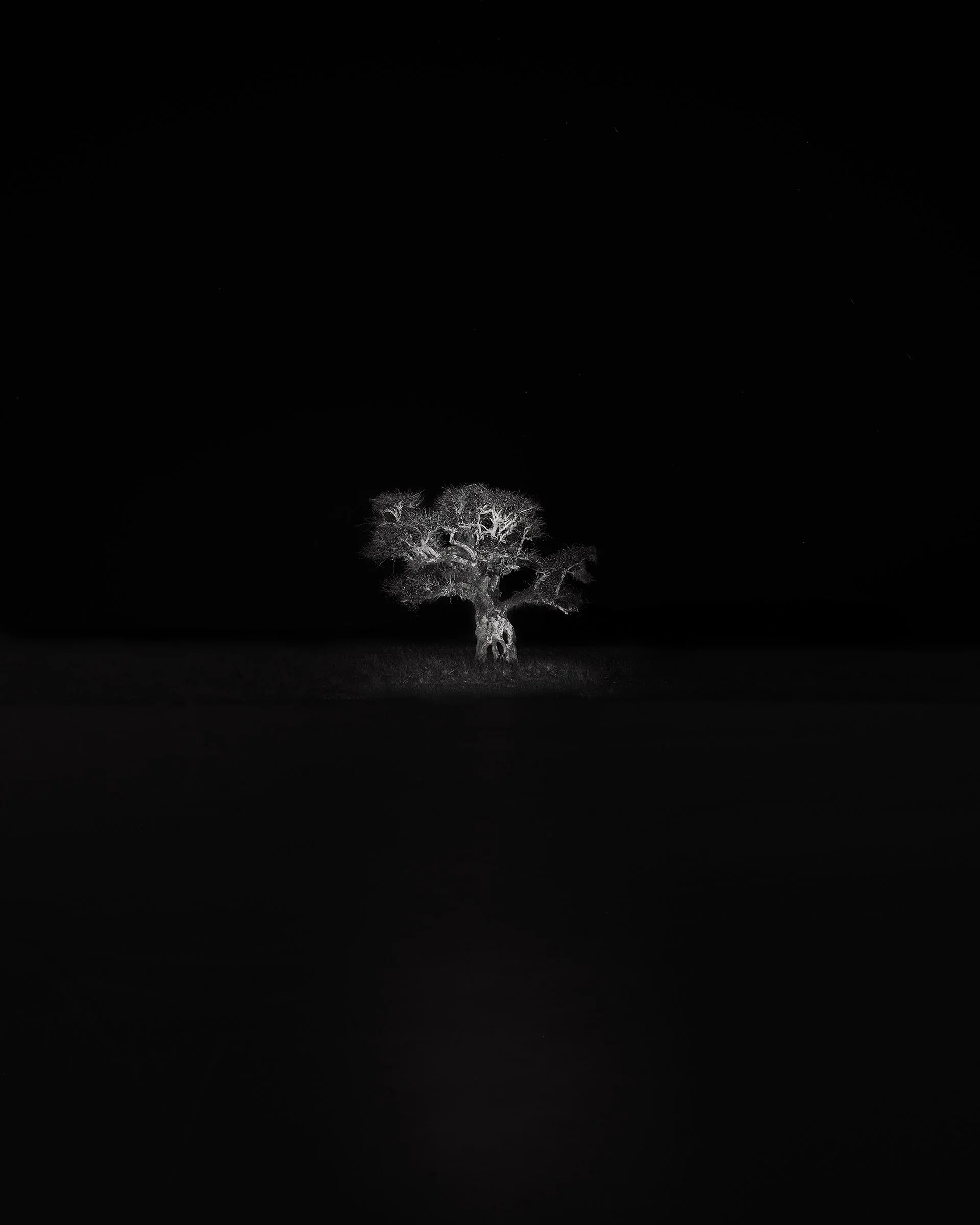 obra-corticeira.jpg
