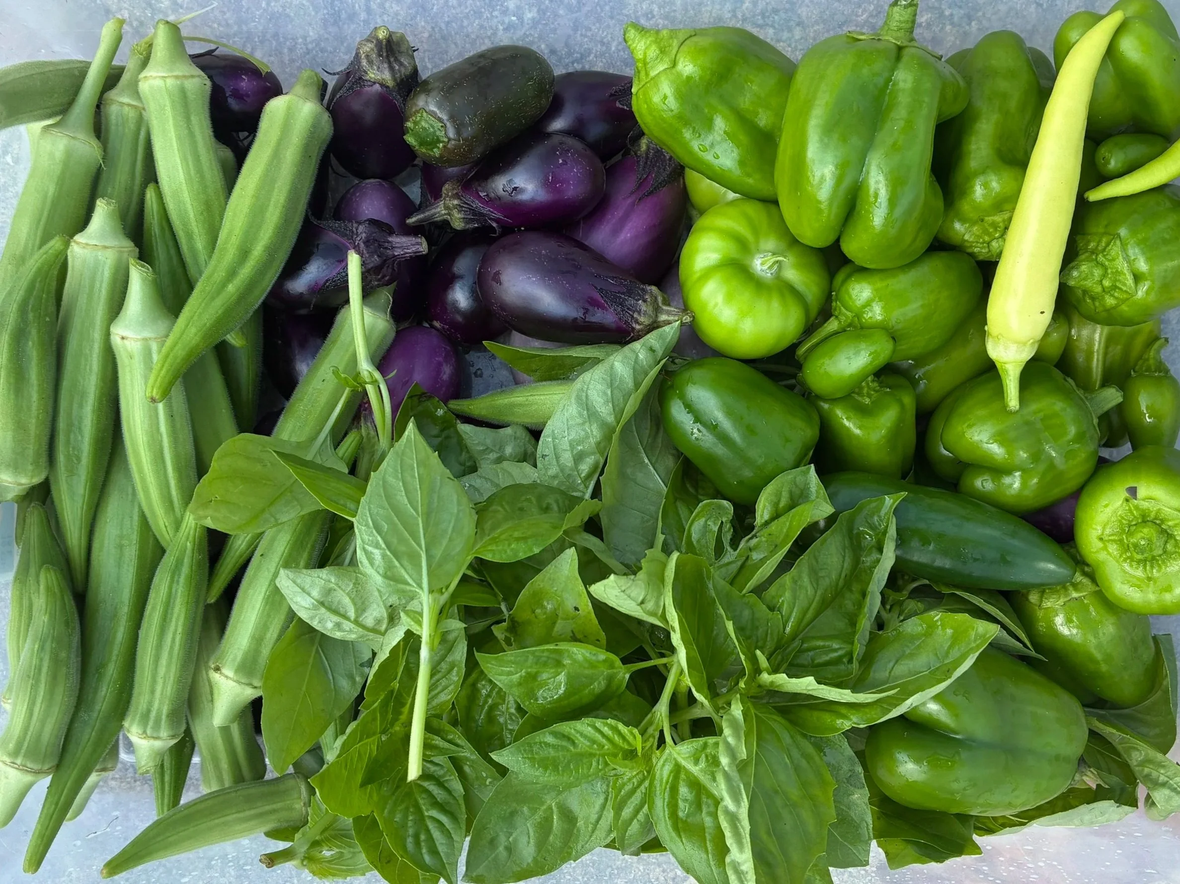 The Journey to Our First Harvest