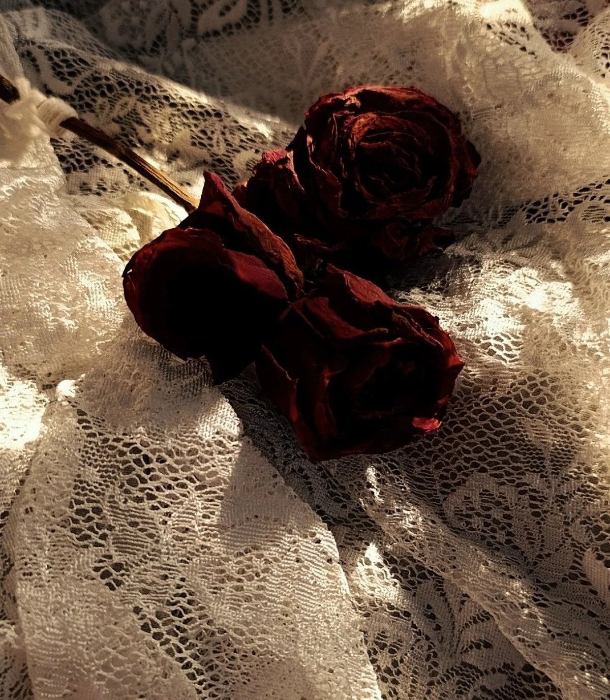 Venus Rose Ritual Oil