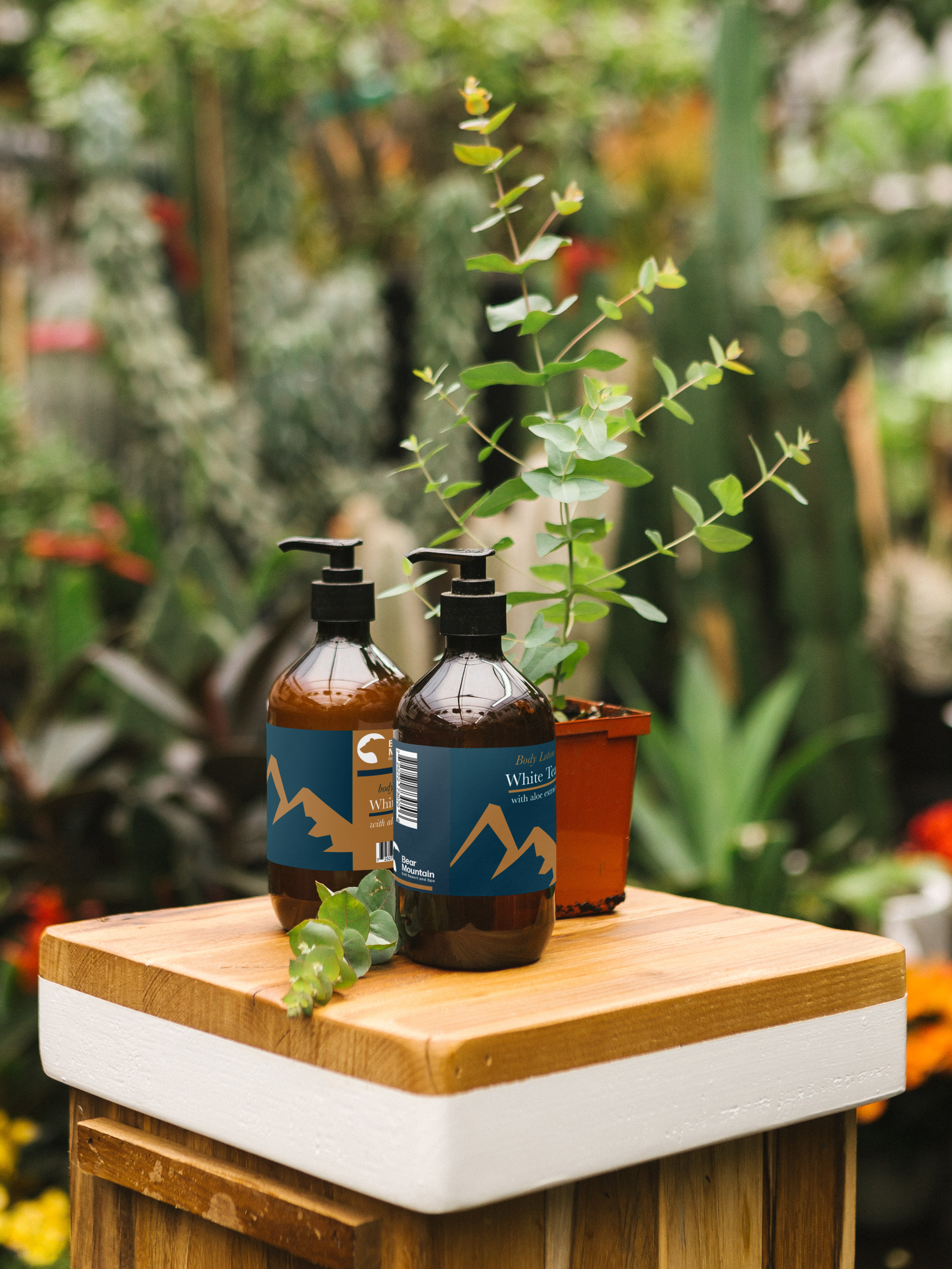 Spa Merch Bear.png