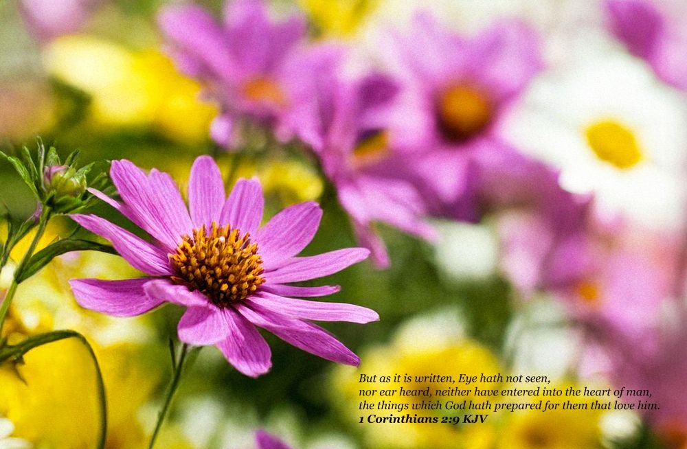 Predestined. 1 Corinthians 2:9. (Size 8.5 Inches X 11 Inches. Bordered to 1 Inch on all sides. Photography Print)