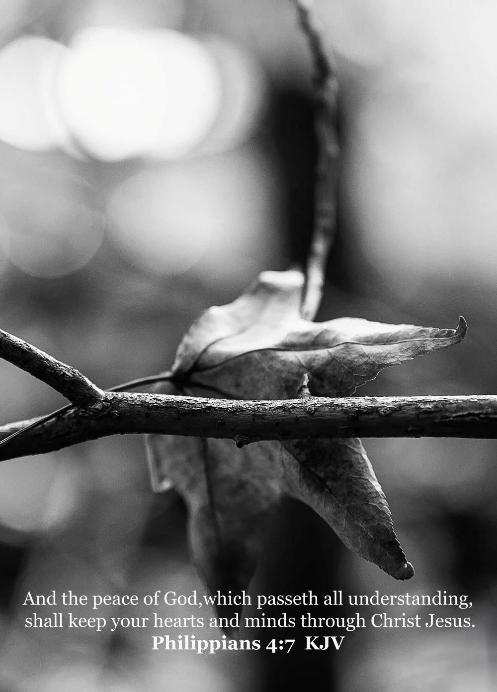 The Peace in the Storm. Black and White. Philippians 4:7 (Size 8.5 Inches X 11 Inches. Bordered to 1 Inch on all sides. Photography Print)