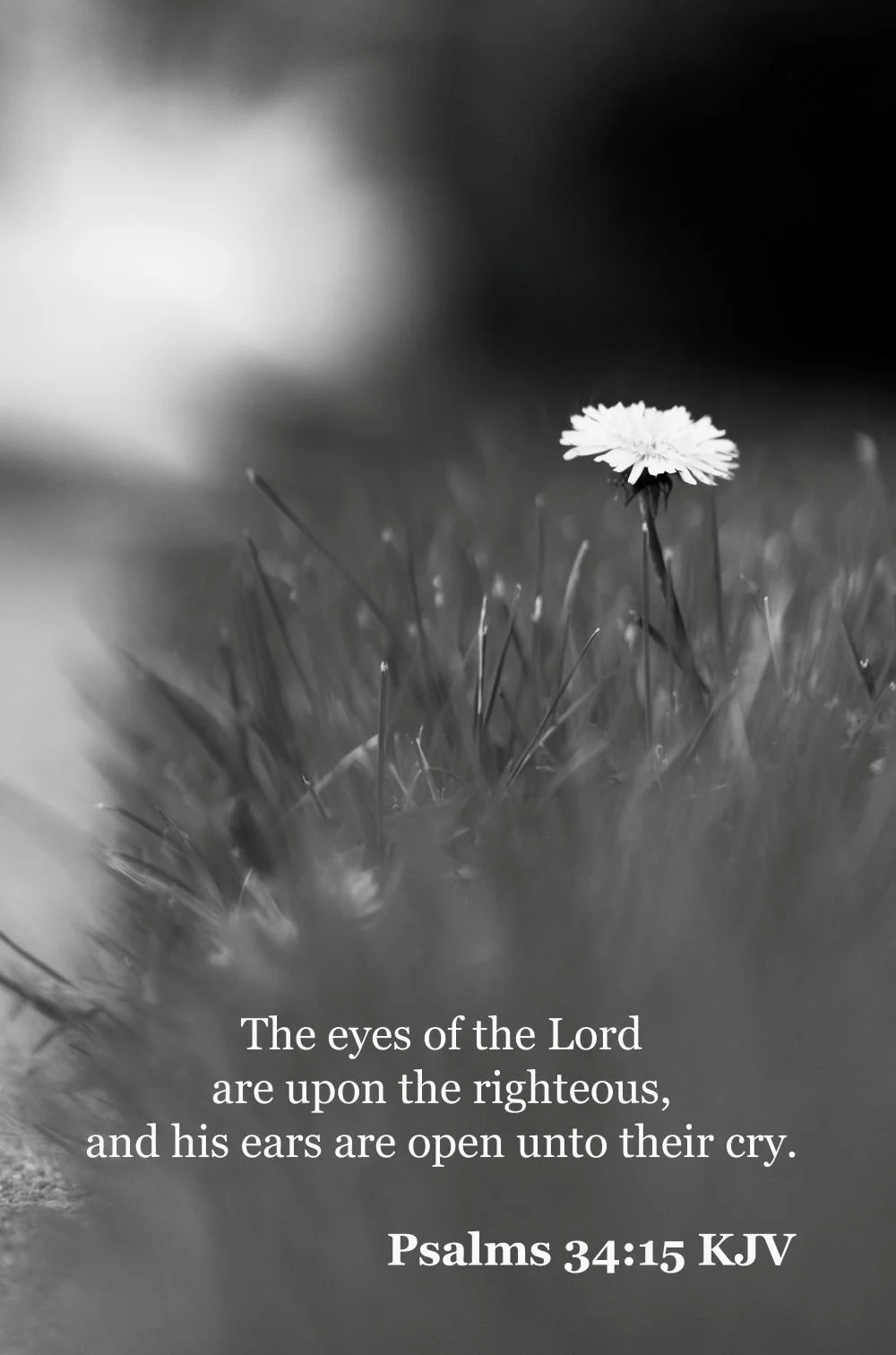 God's Eyes. Psalms 34:15