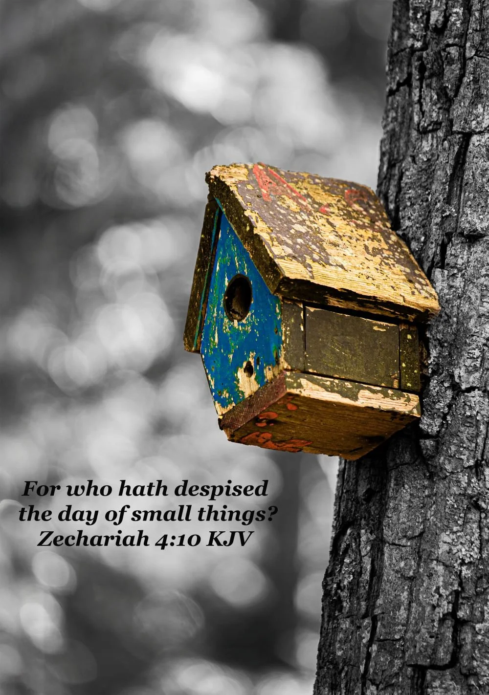the bird house zechariah 4-10.jpg