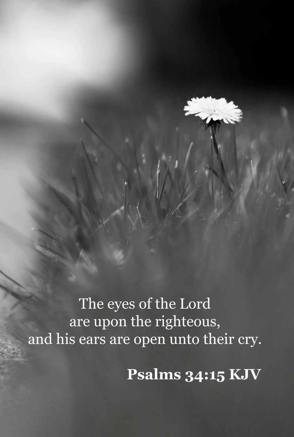 God's Eyes. Black and White. Psalms 34:15 (Size 8.5Inches X 11 Inches. Bordered to 1 Inch on all sides. Photography Print)