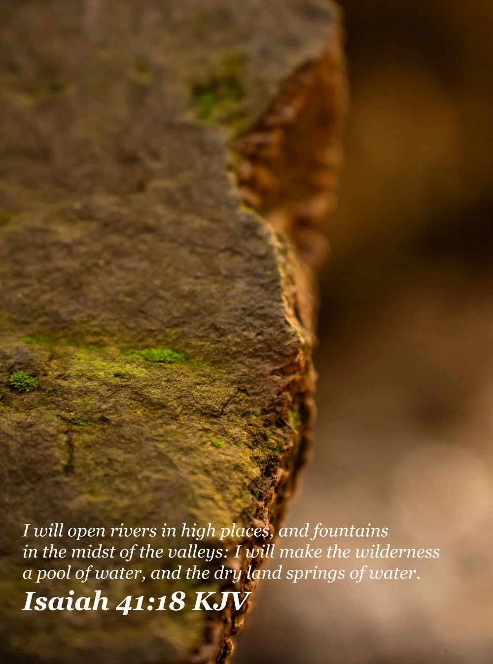 downscaled DRY rock isaiah 41-18.jpg