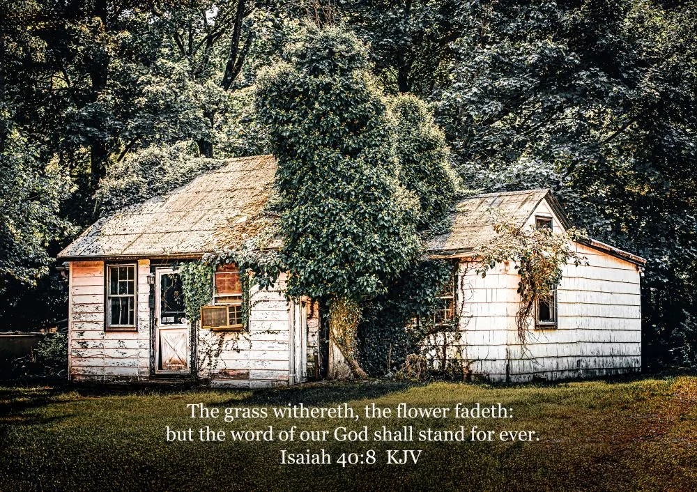 On solid foundation. Isaiah 48:10 (Size 8.5 Inches X 11 Inches. Bordered to 1 Inch on all sides. Photography Print)