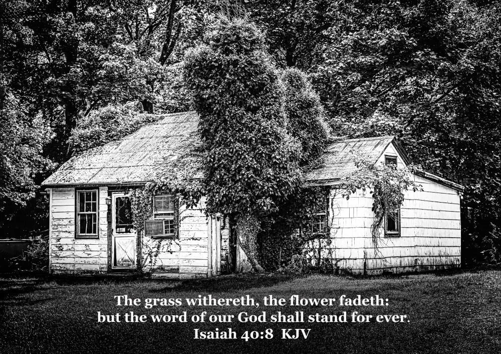 The house 19X13 landscape isaiah 40-8 bw.jpg