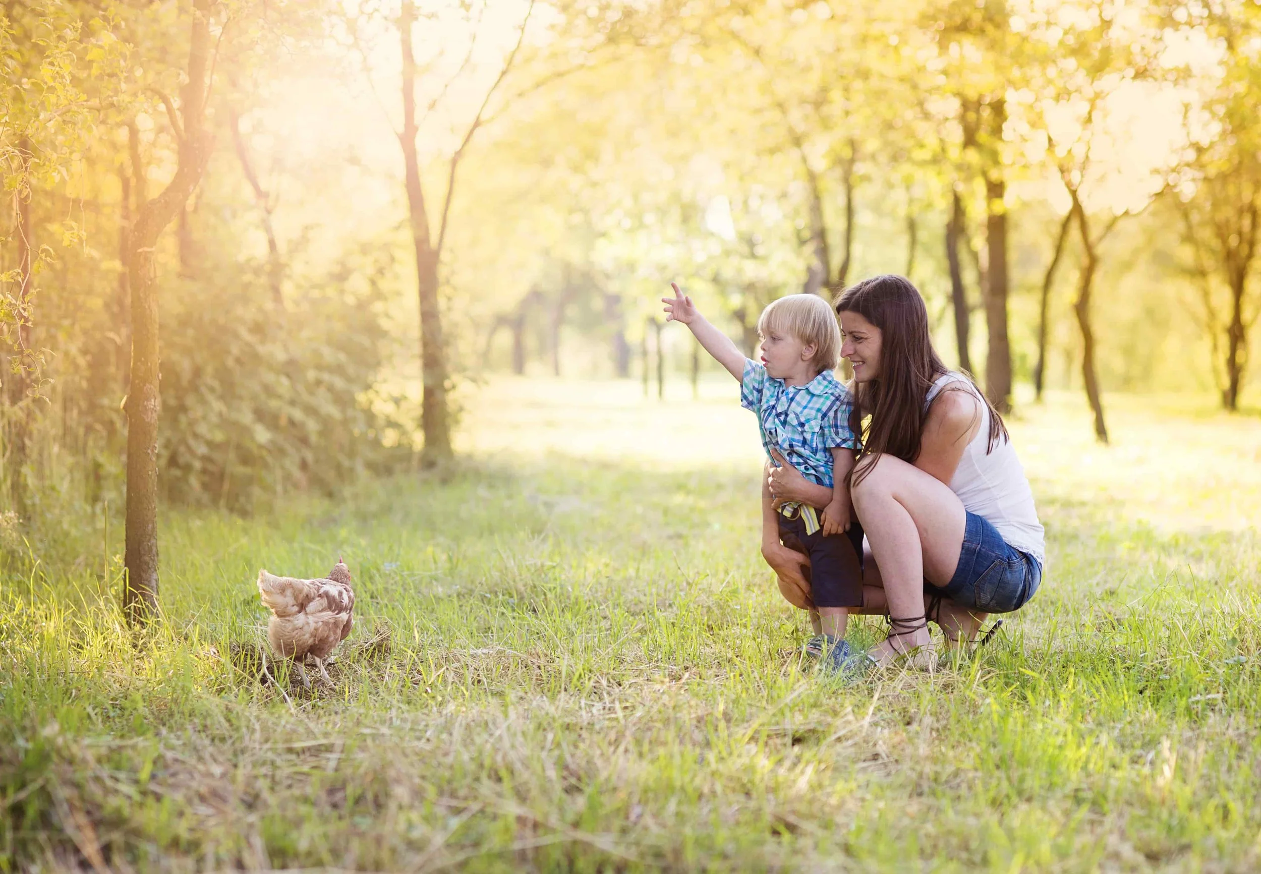 A woman and a young boy playing with chickens in a sunlit forest clearing, with trees and yellowish-green foliage in the background.