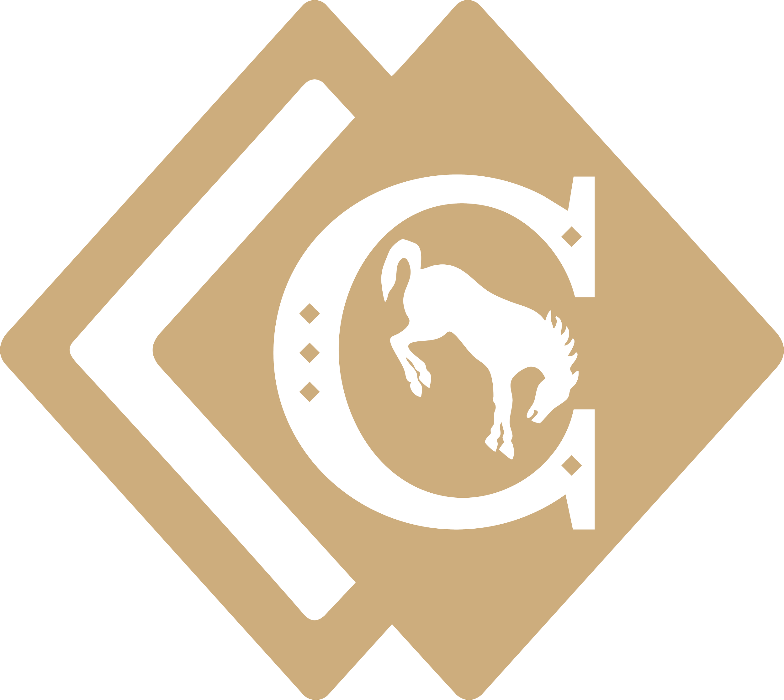 Diamond Leadership Institute - The Diamond Standard In Leadership