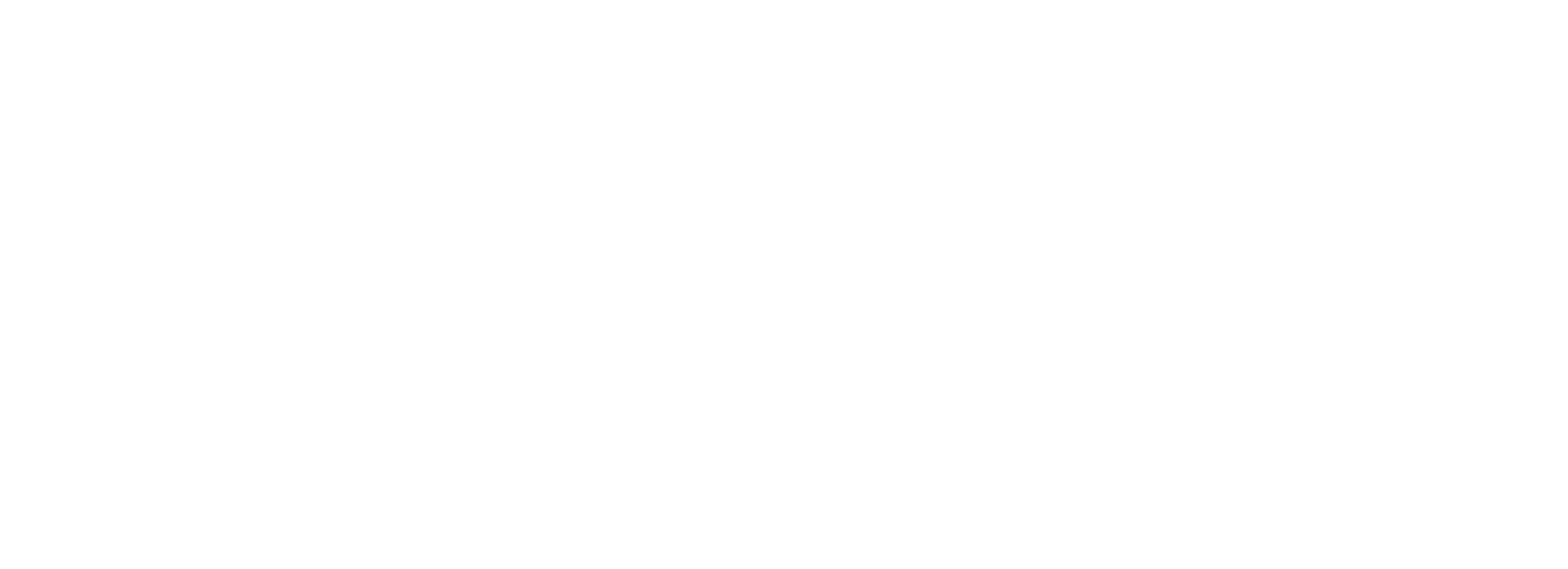 Diamond Leadership Institute