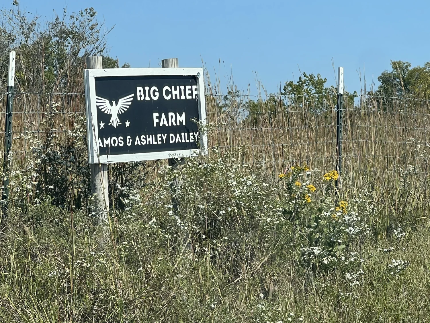 Big Chief Farm 