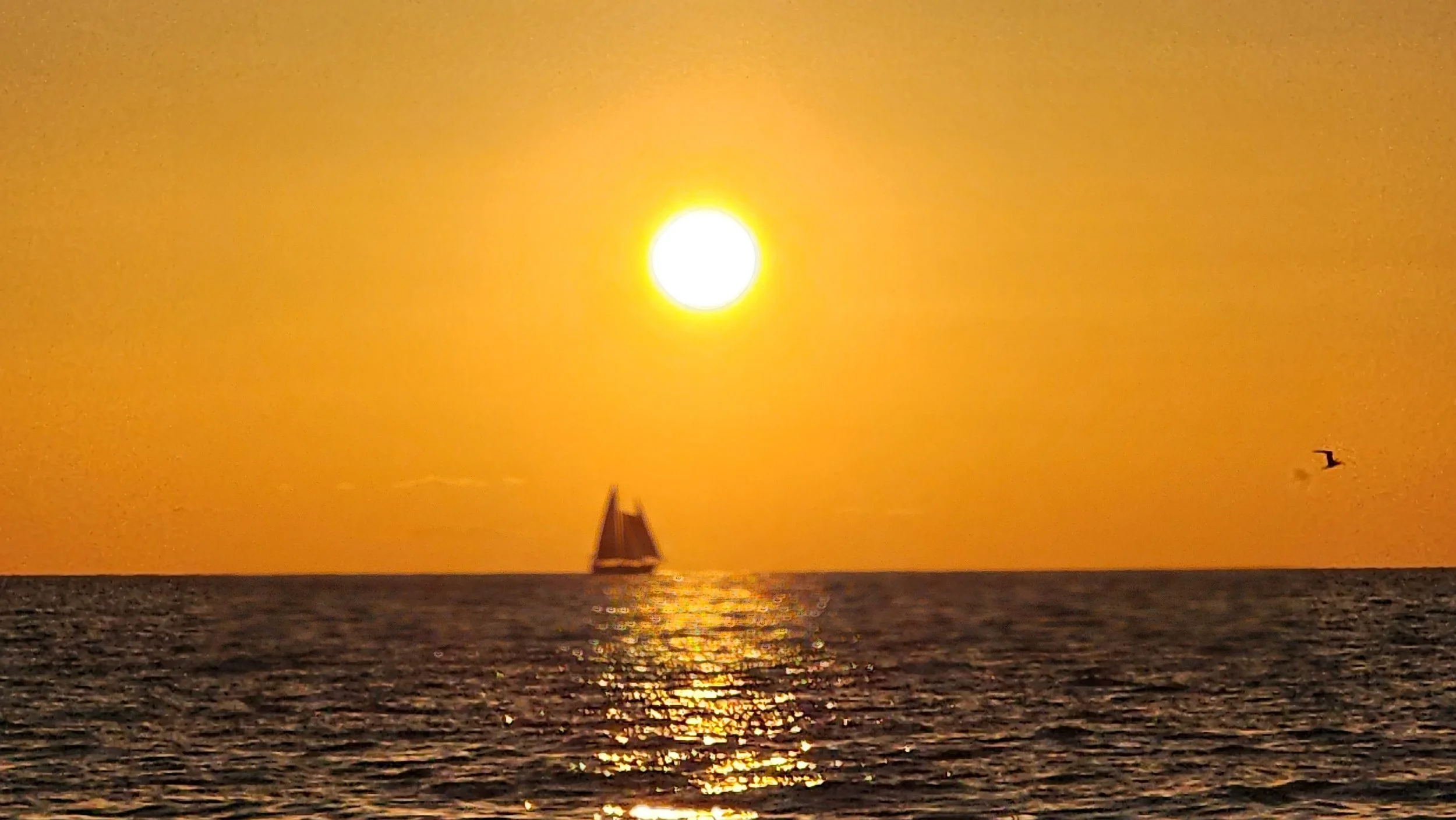 20230729_201008.jpg