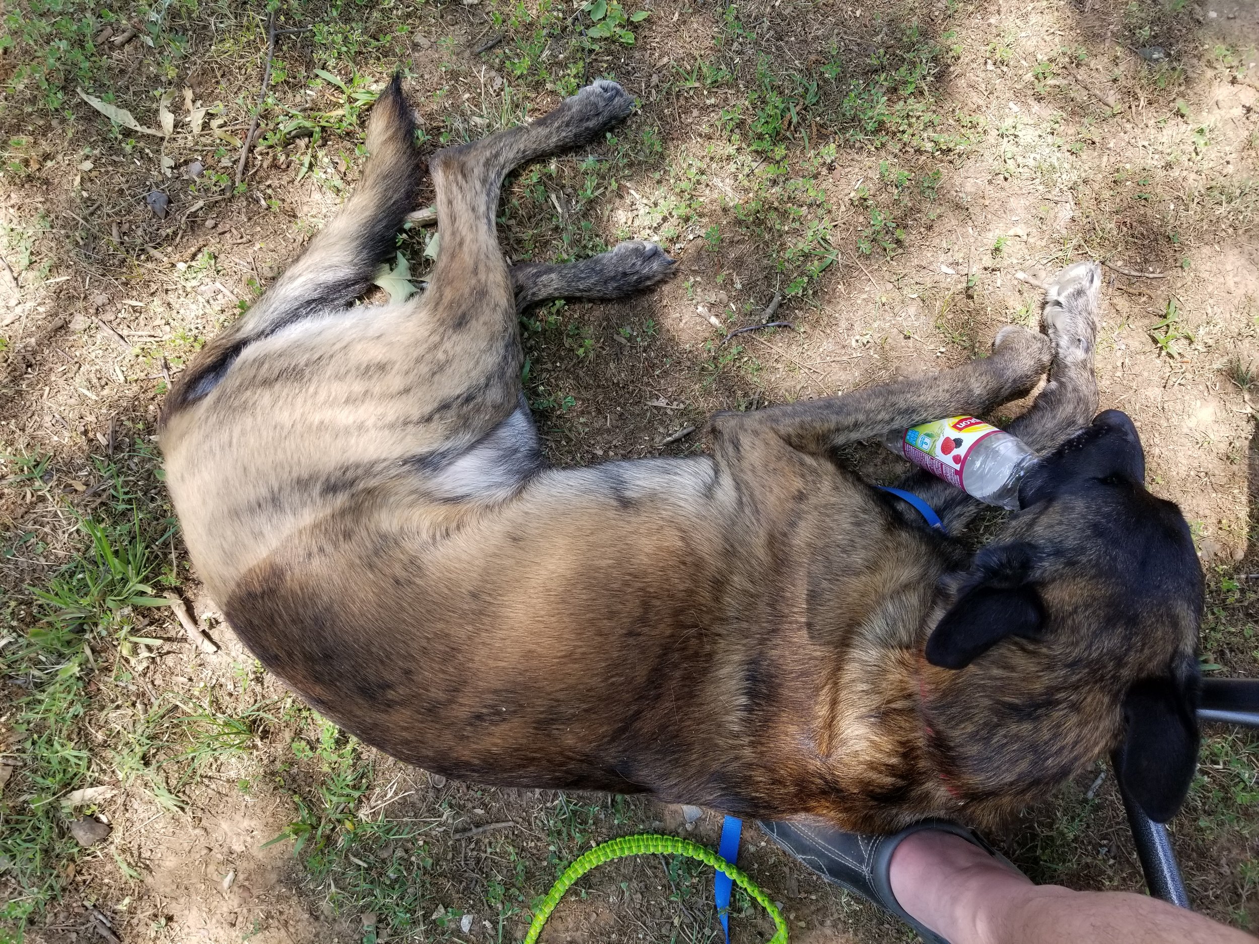 20190601_111117.jpg