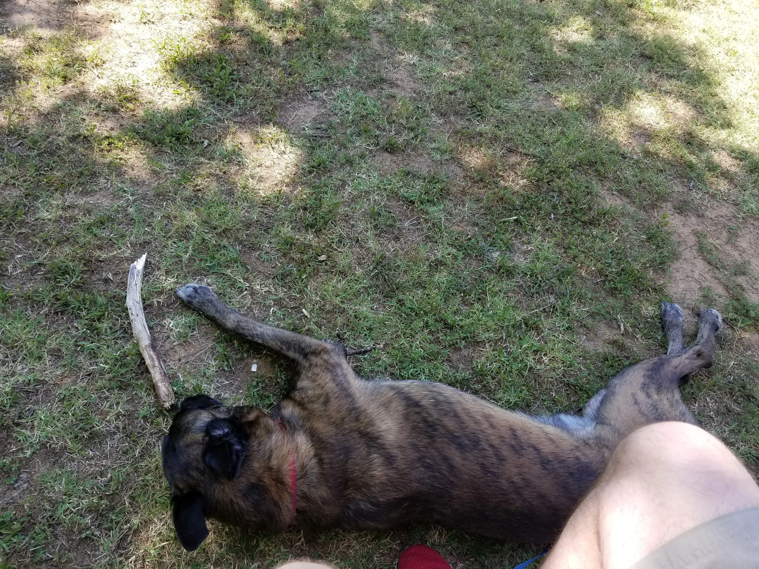 20190531_100443.jpg