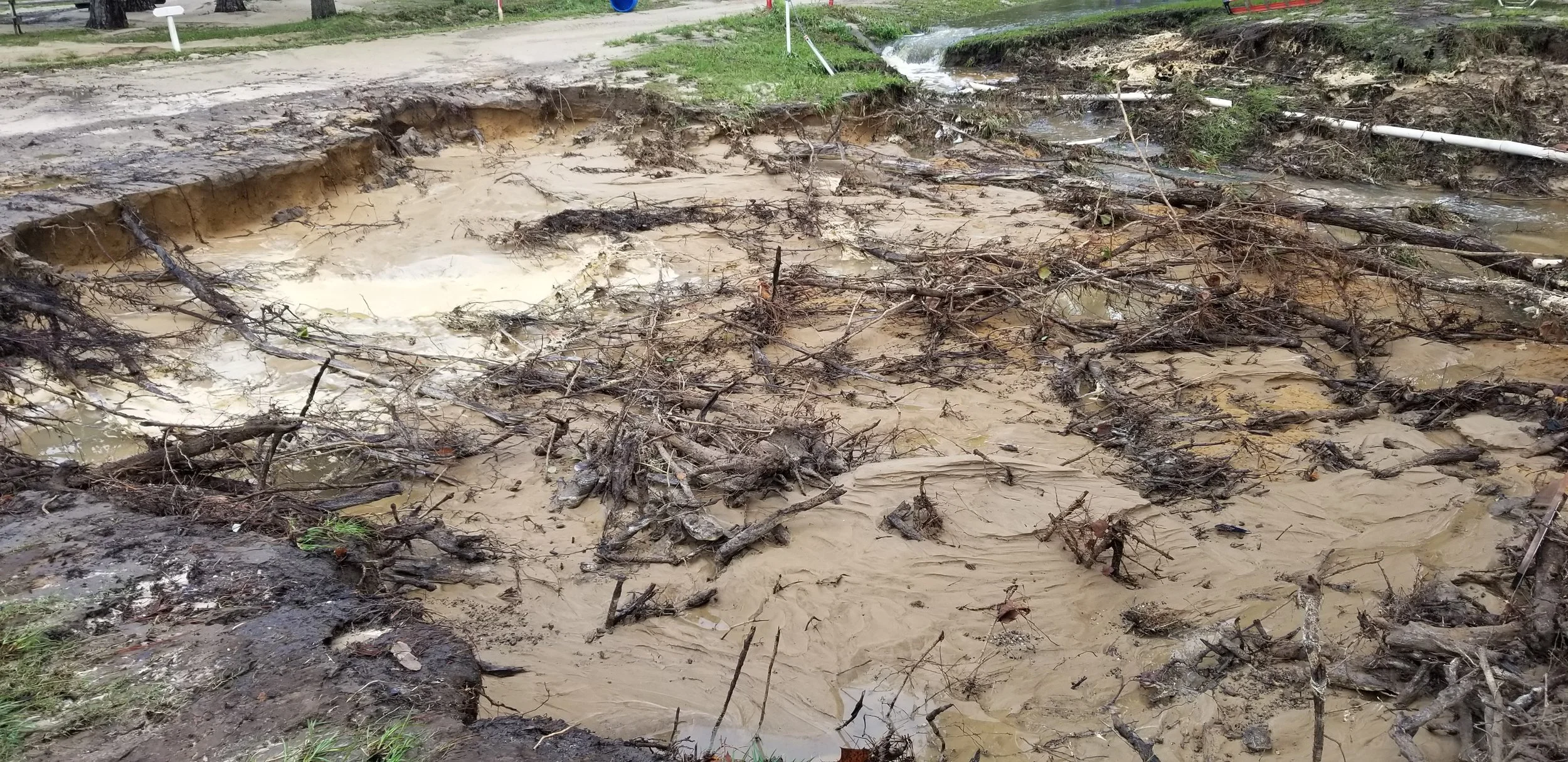 2020Sept17 Hurricane Sally - Vortex (12).jpg