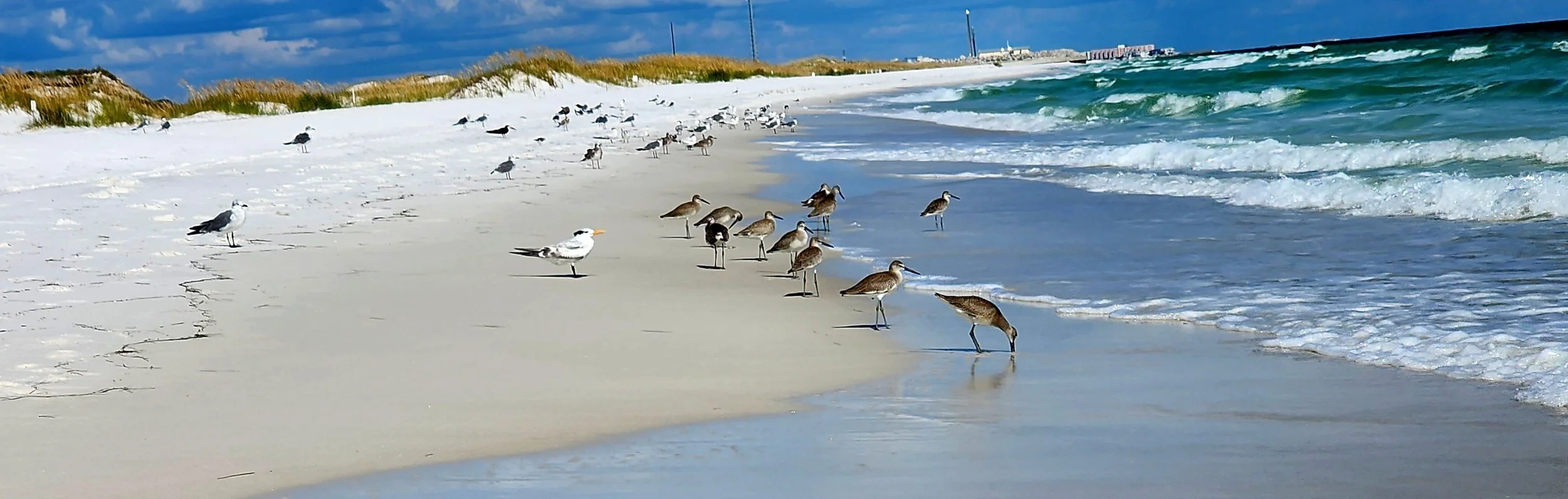 Okaloosa Island
