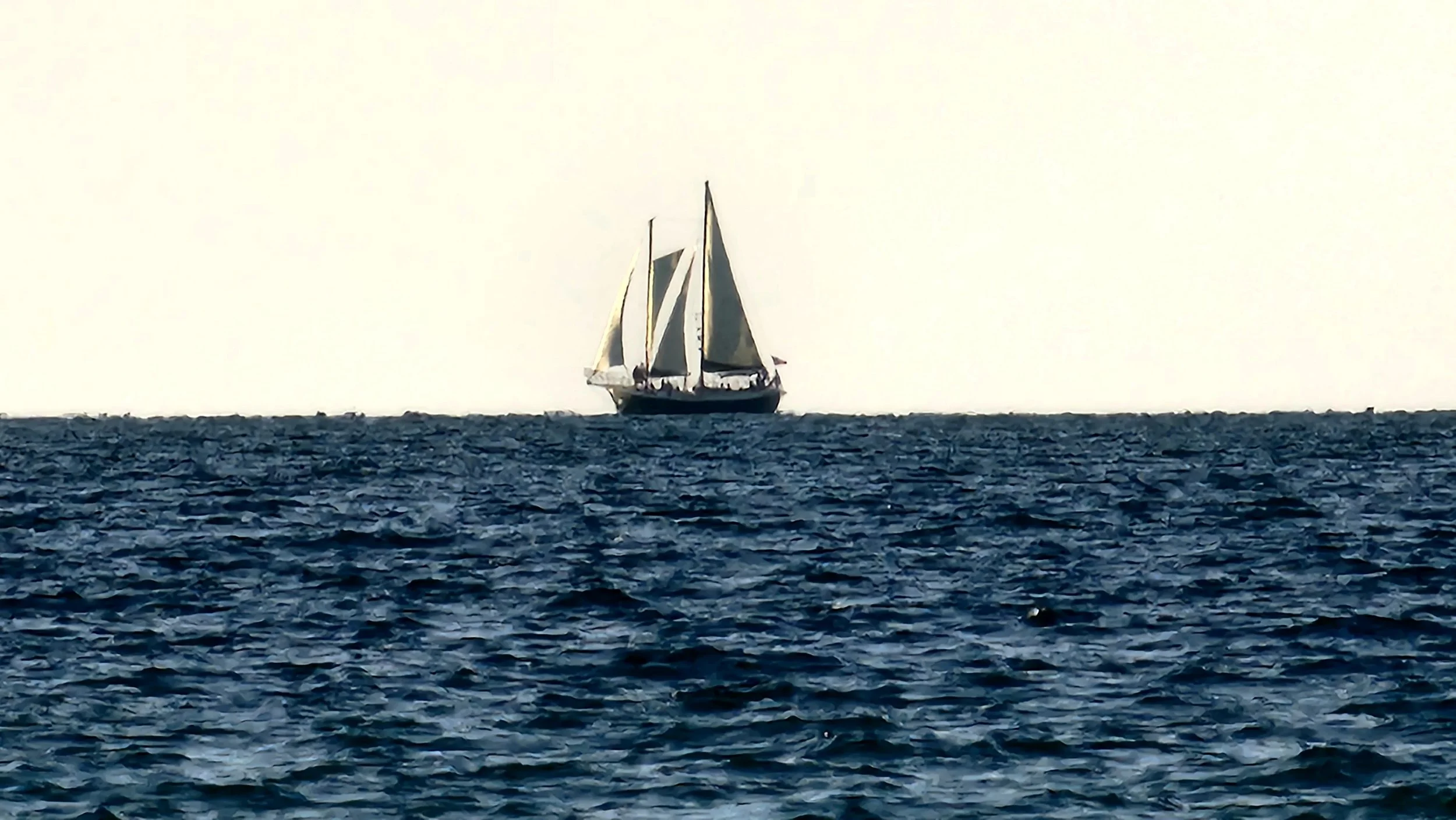 20230729_192811.jpg