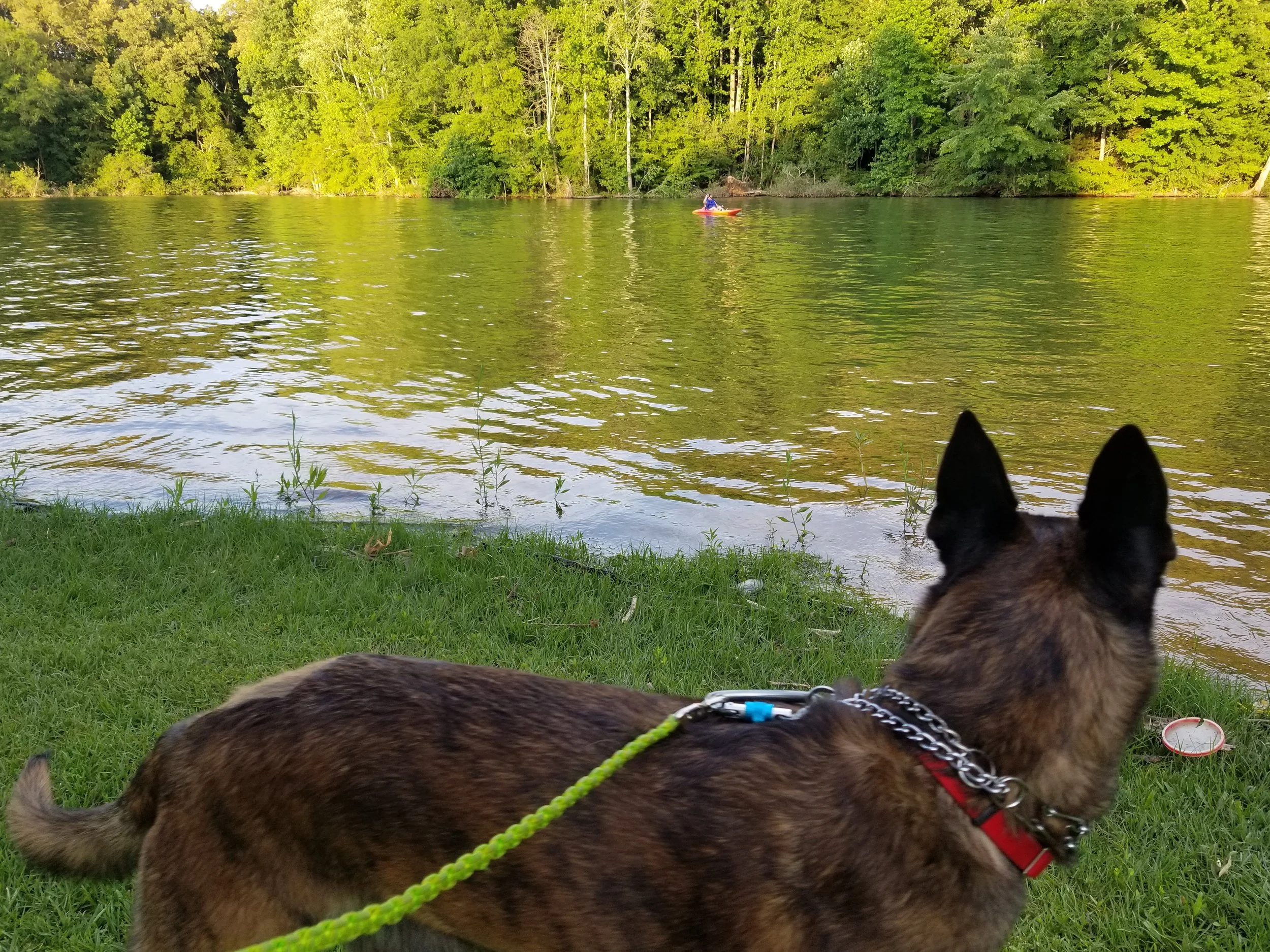 Stryker's not to sure about Momma being out there by herself.
