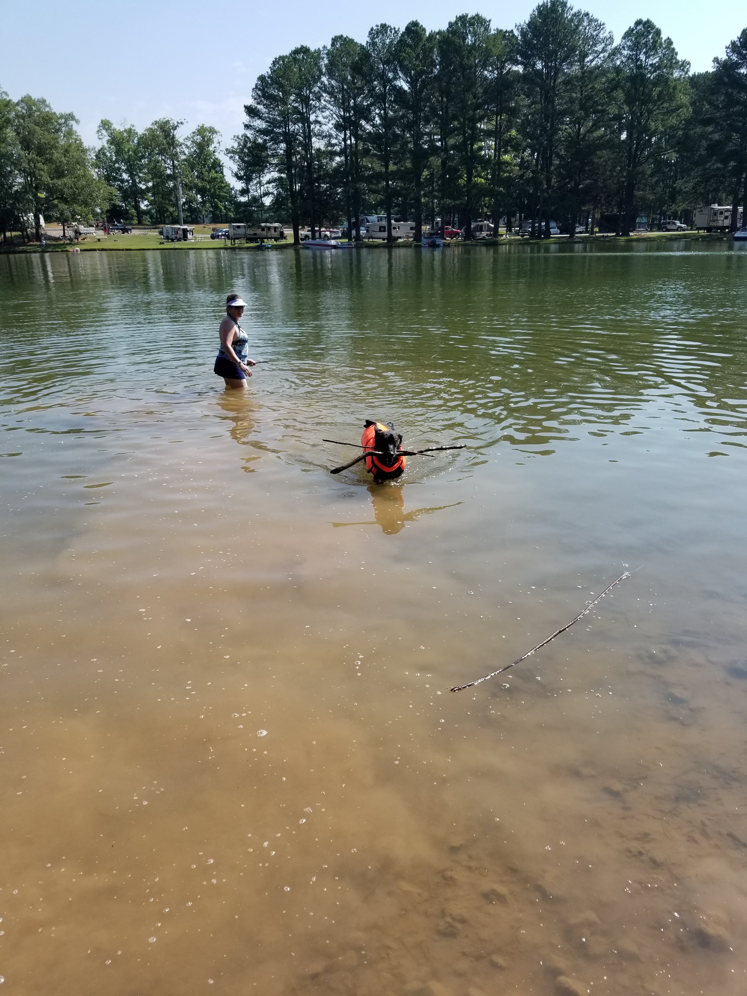 20190602_094054.jpg
