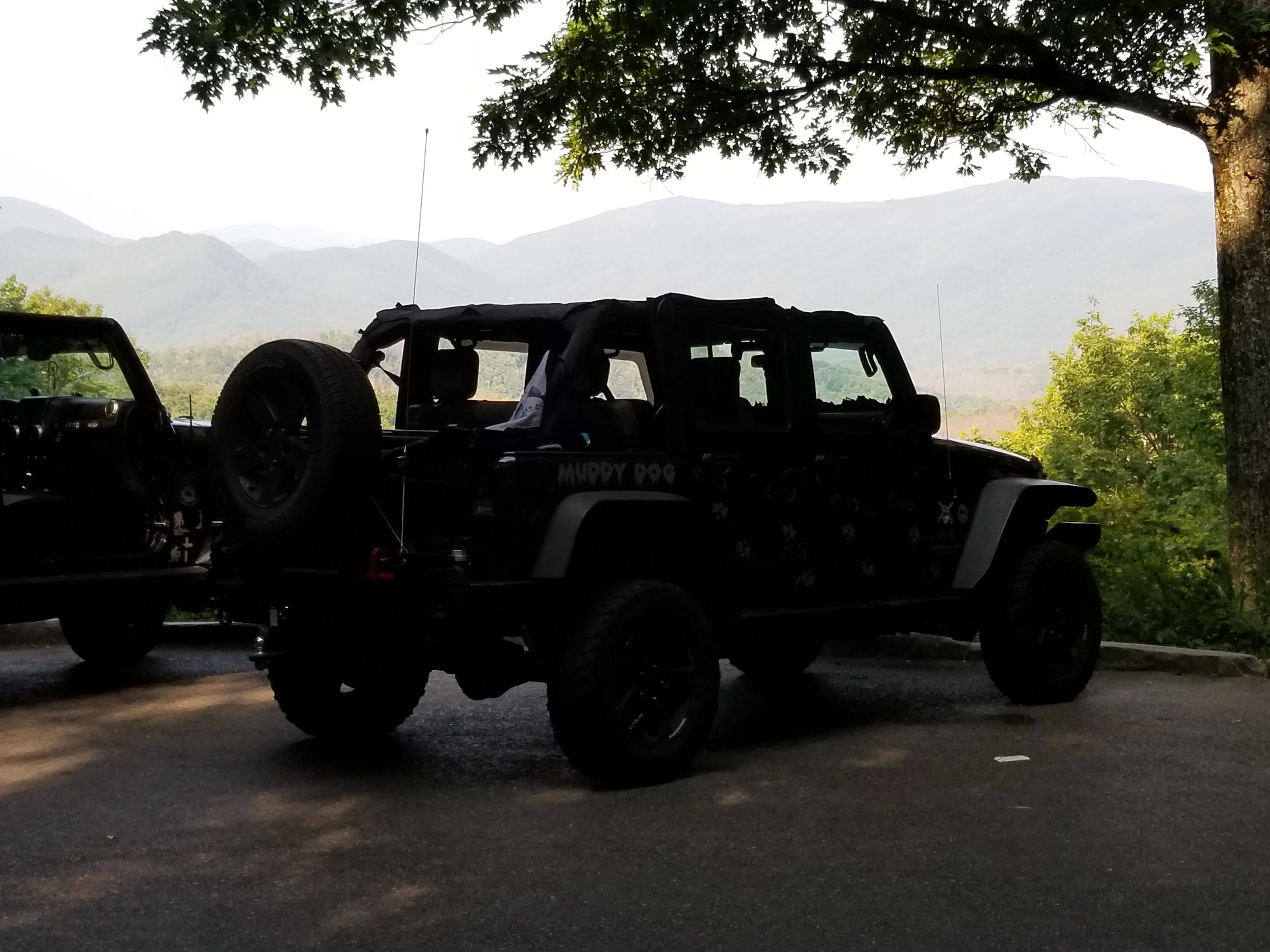 20180826_094810.jpg