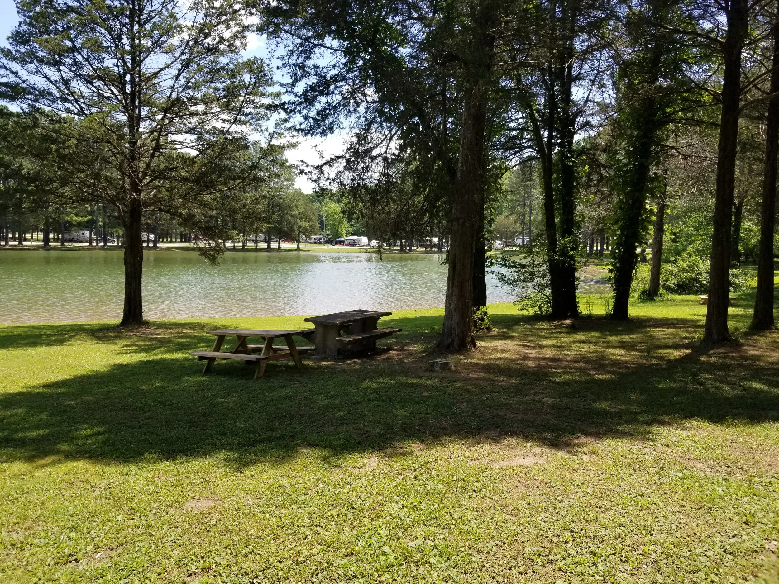 20190531_114238.jpg