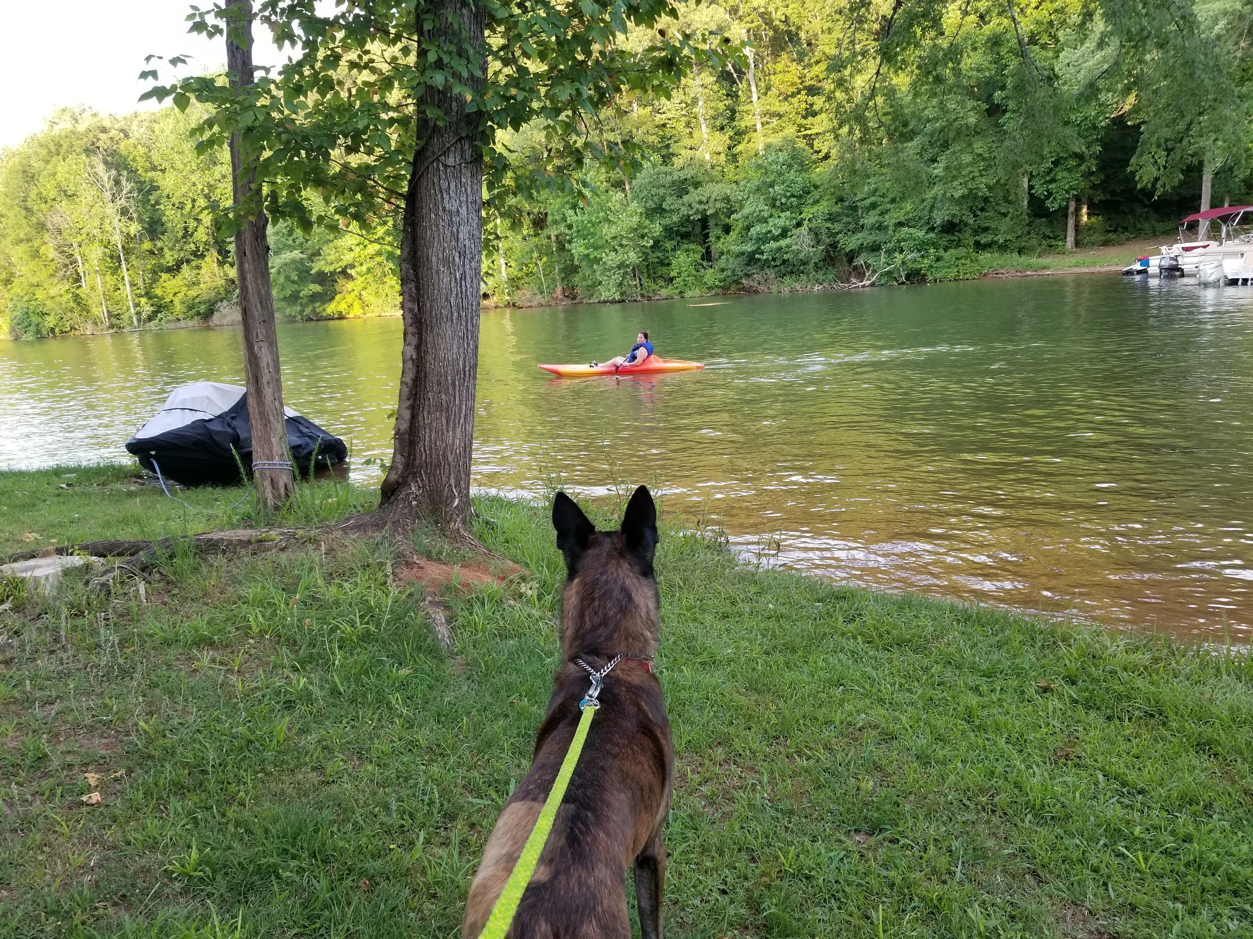 Stryker's not to sure about Momma being out there by herself.