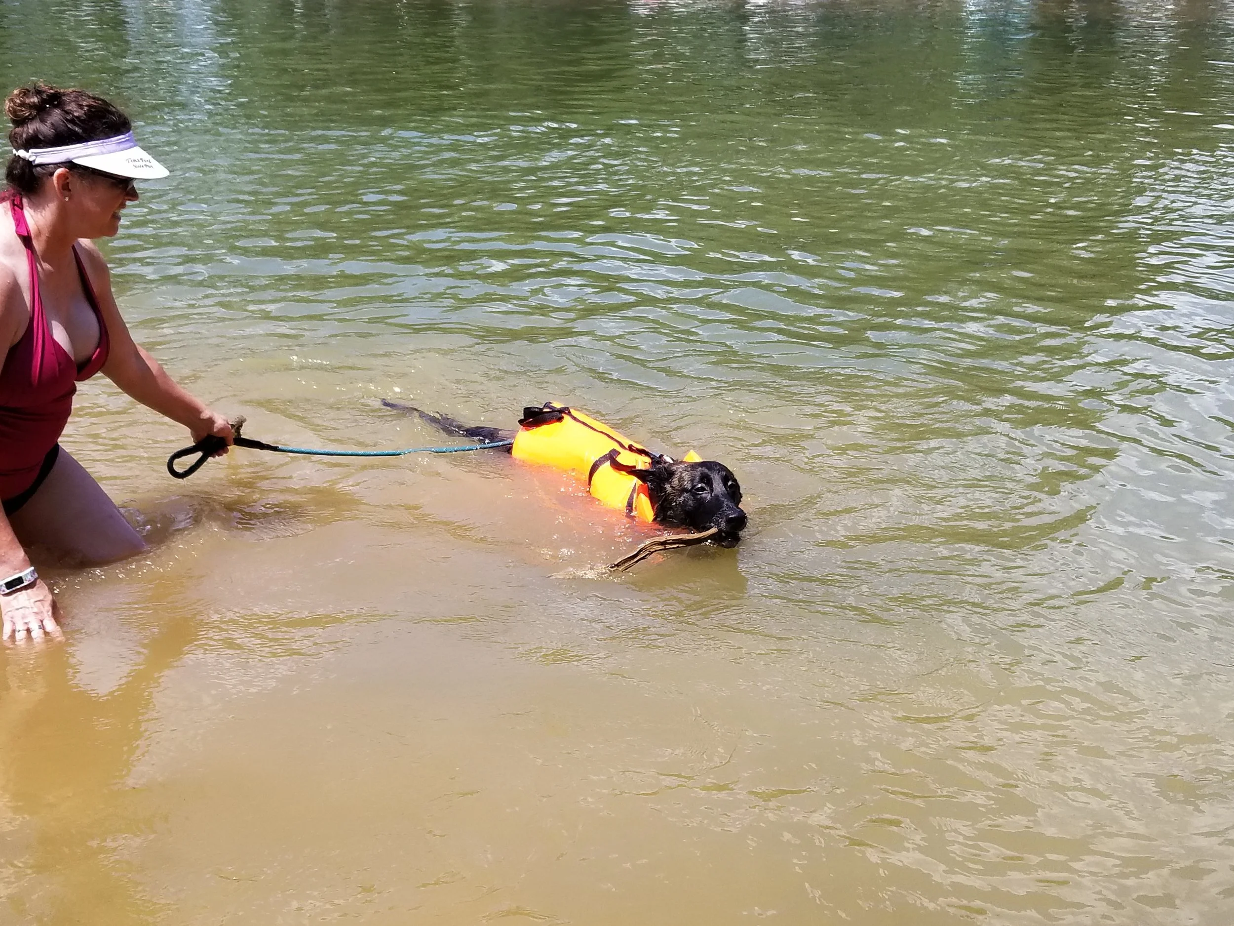 20190601_142258.jpg