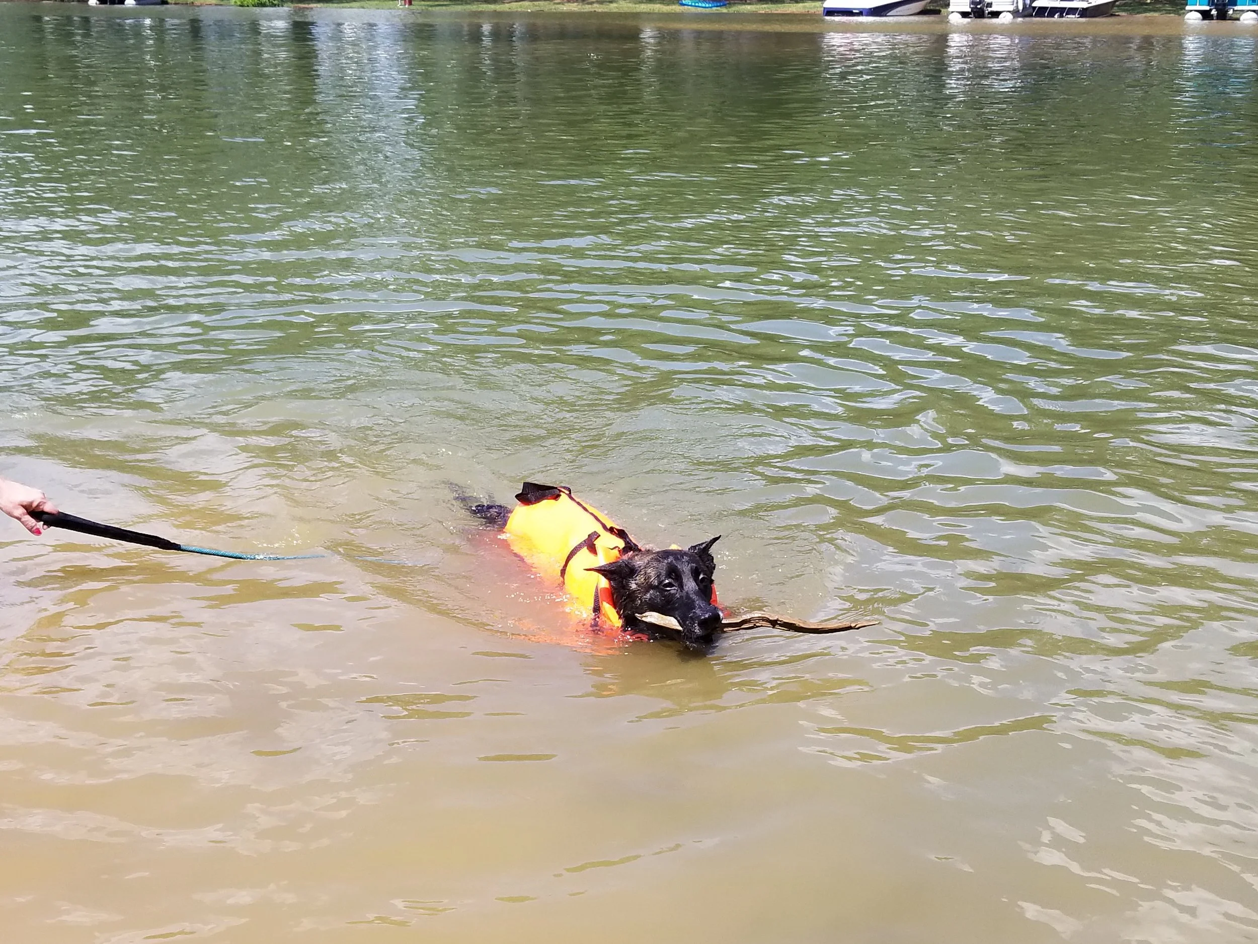 20190601_142220.jpg