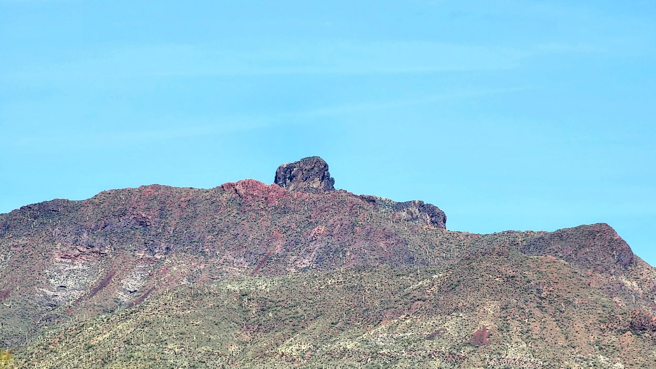 20240310_141147.jpg