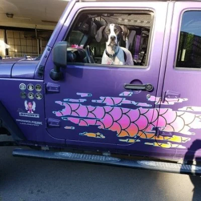 Muddy Dog Jeep Tales with Kristina Naelitz