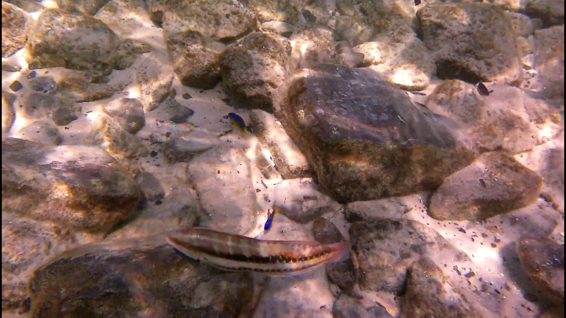 Mermaid-DestinSpokeJetty026.png