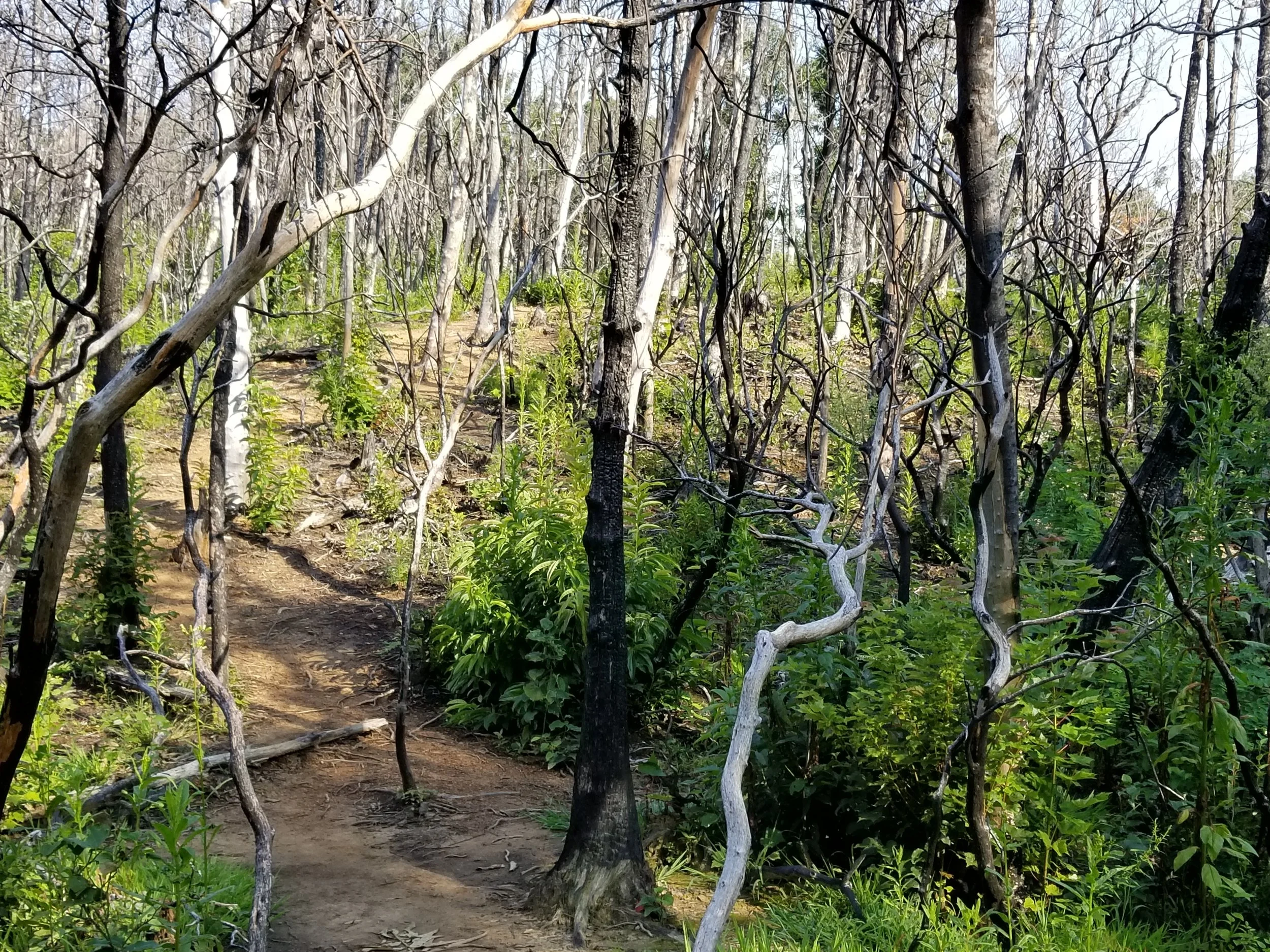 20180826_093420.jpg