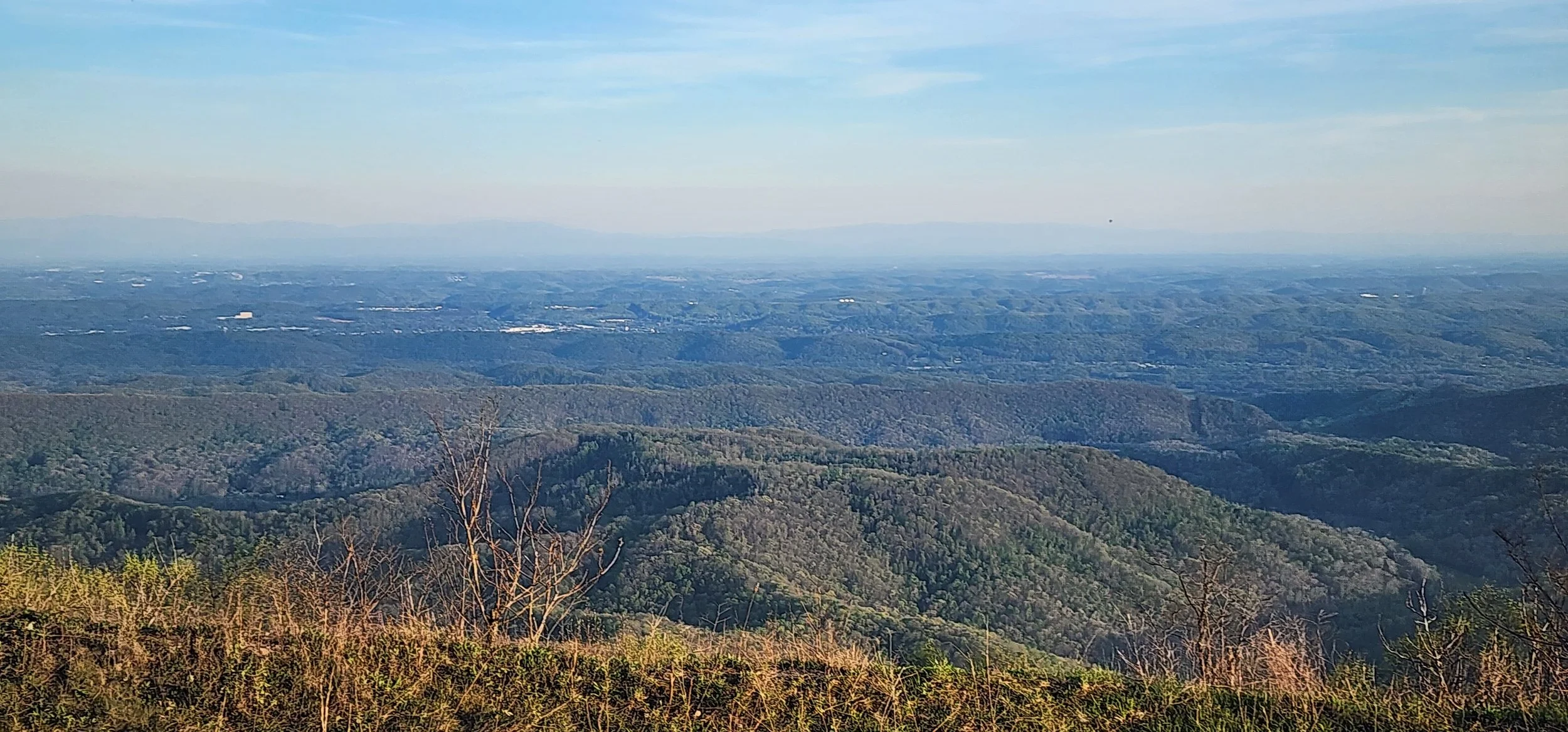 20260410_191845.jpg