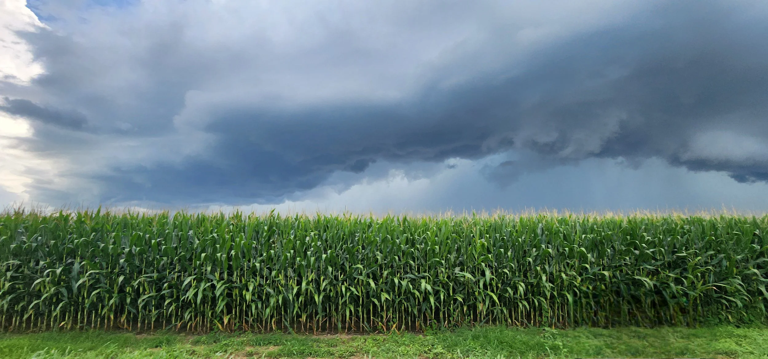 TNFarmScenes (81).jpg