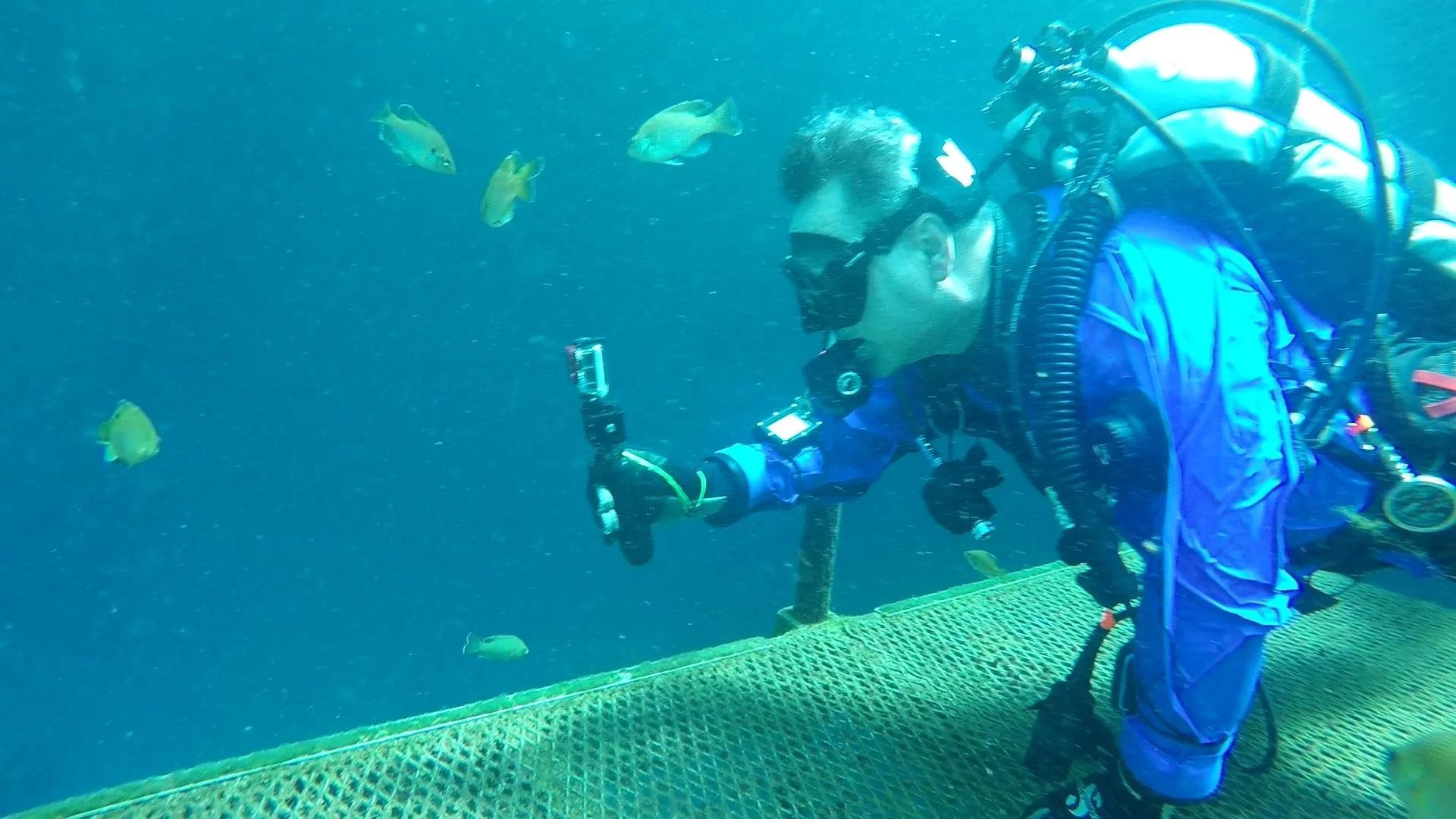 GOPR0722.MP4_snapshot_01.09_[2021.04.14_20.15.05].jpg