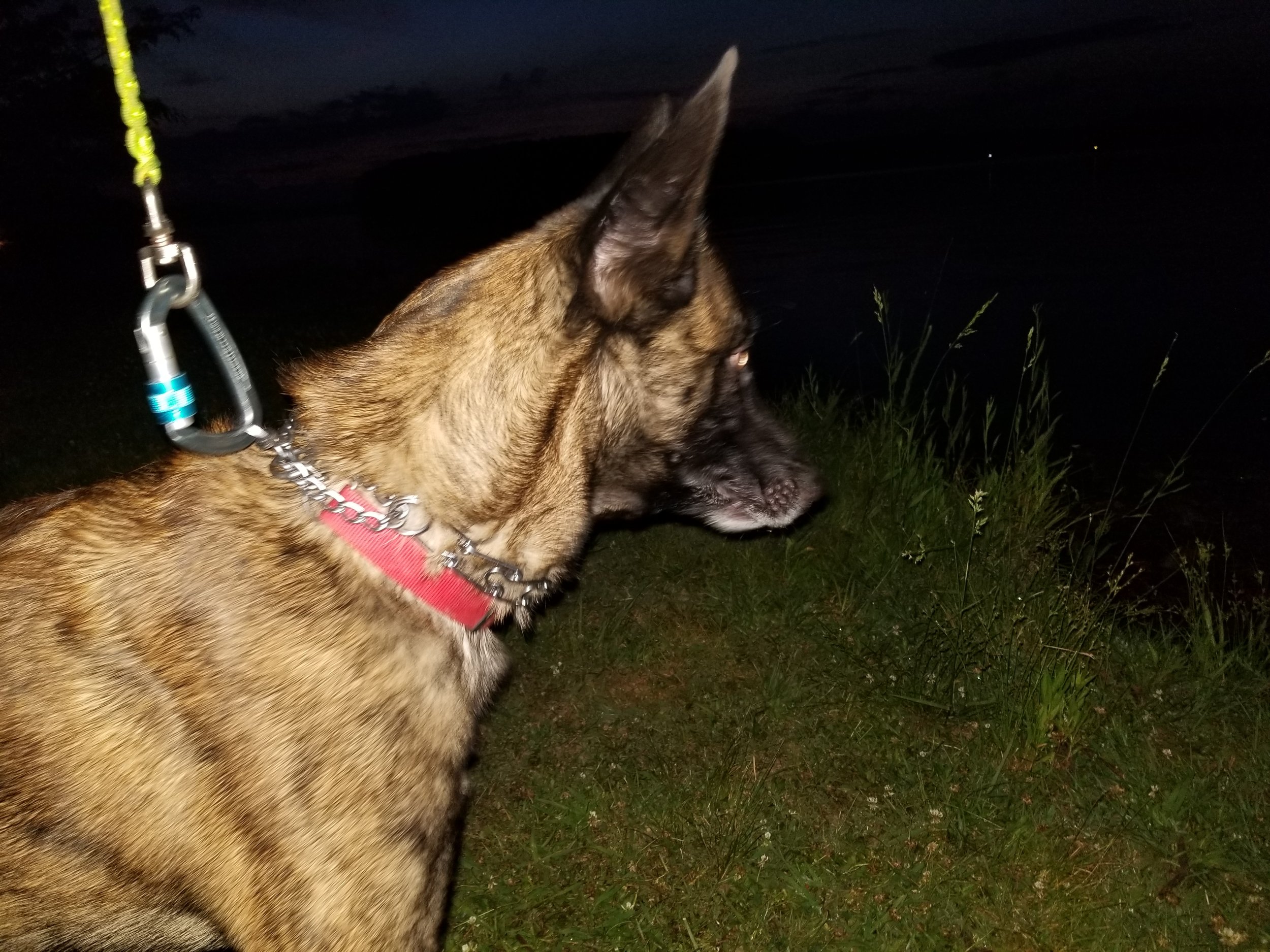 20190530_203623.jpg