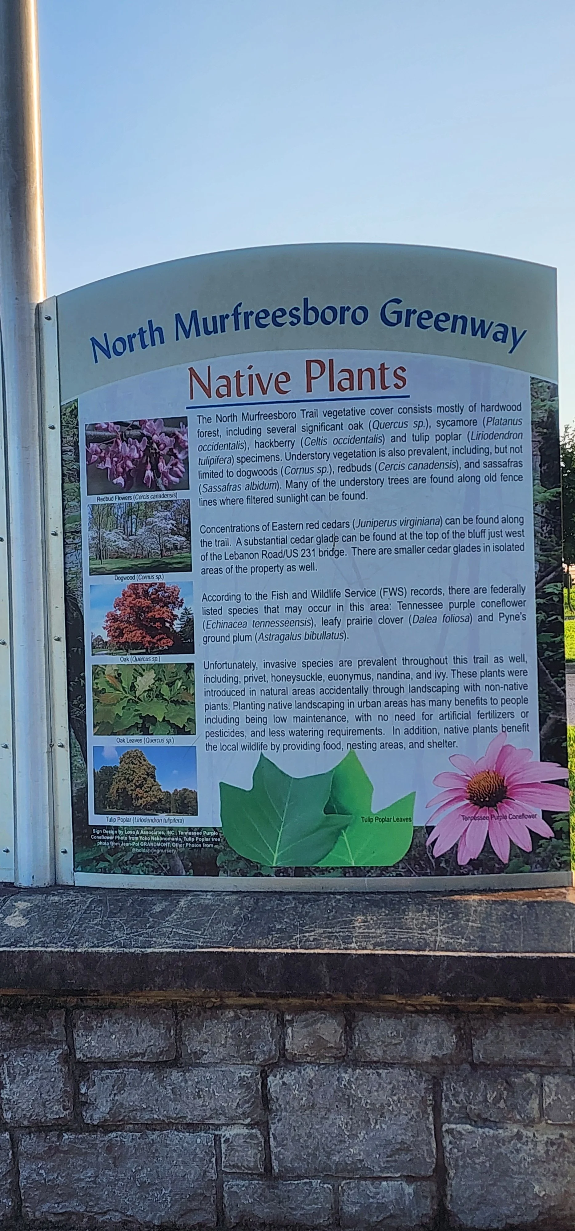 NorthTrailHead_MBoroGreenway (12).jpg