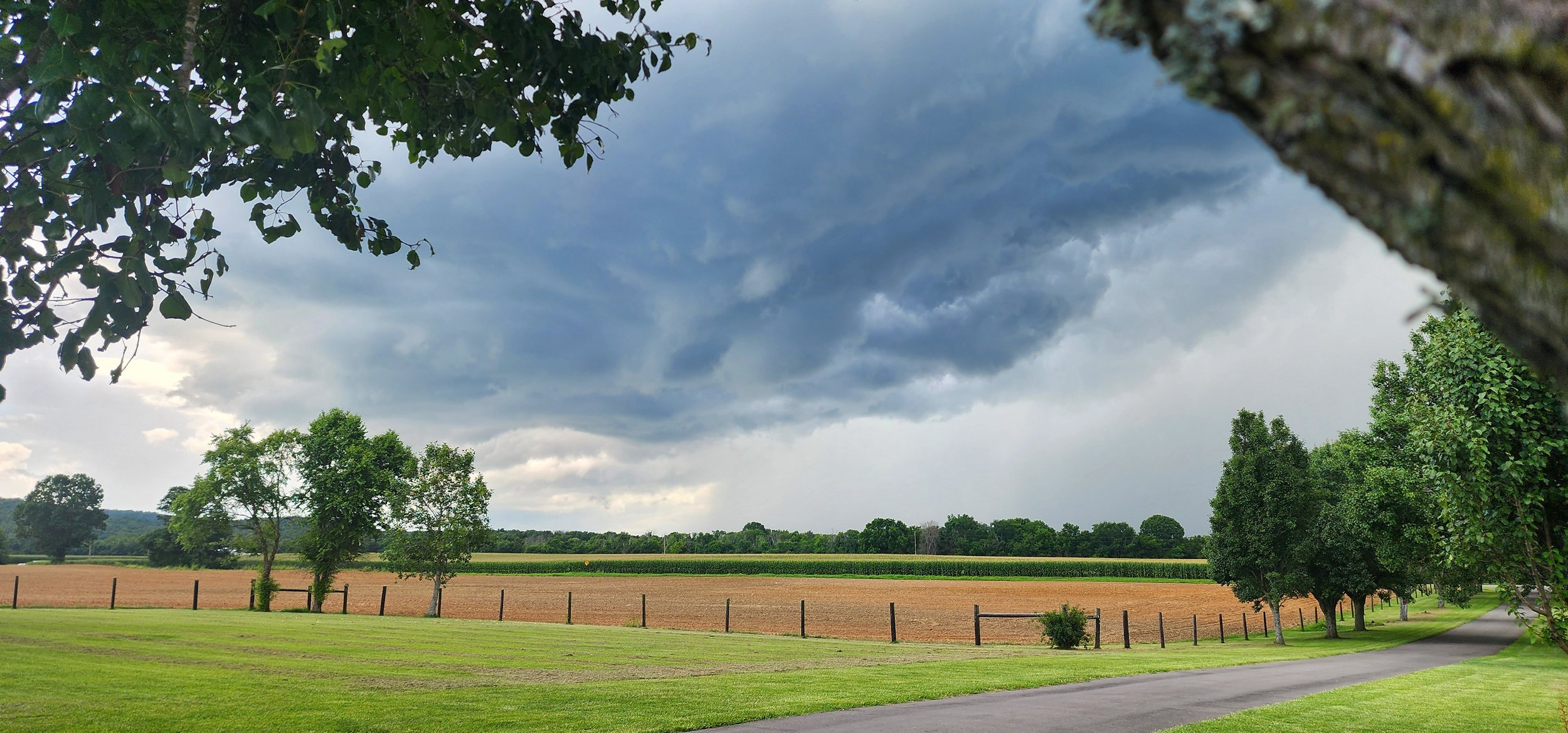 TNFarmScenes (84).jpg